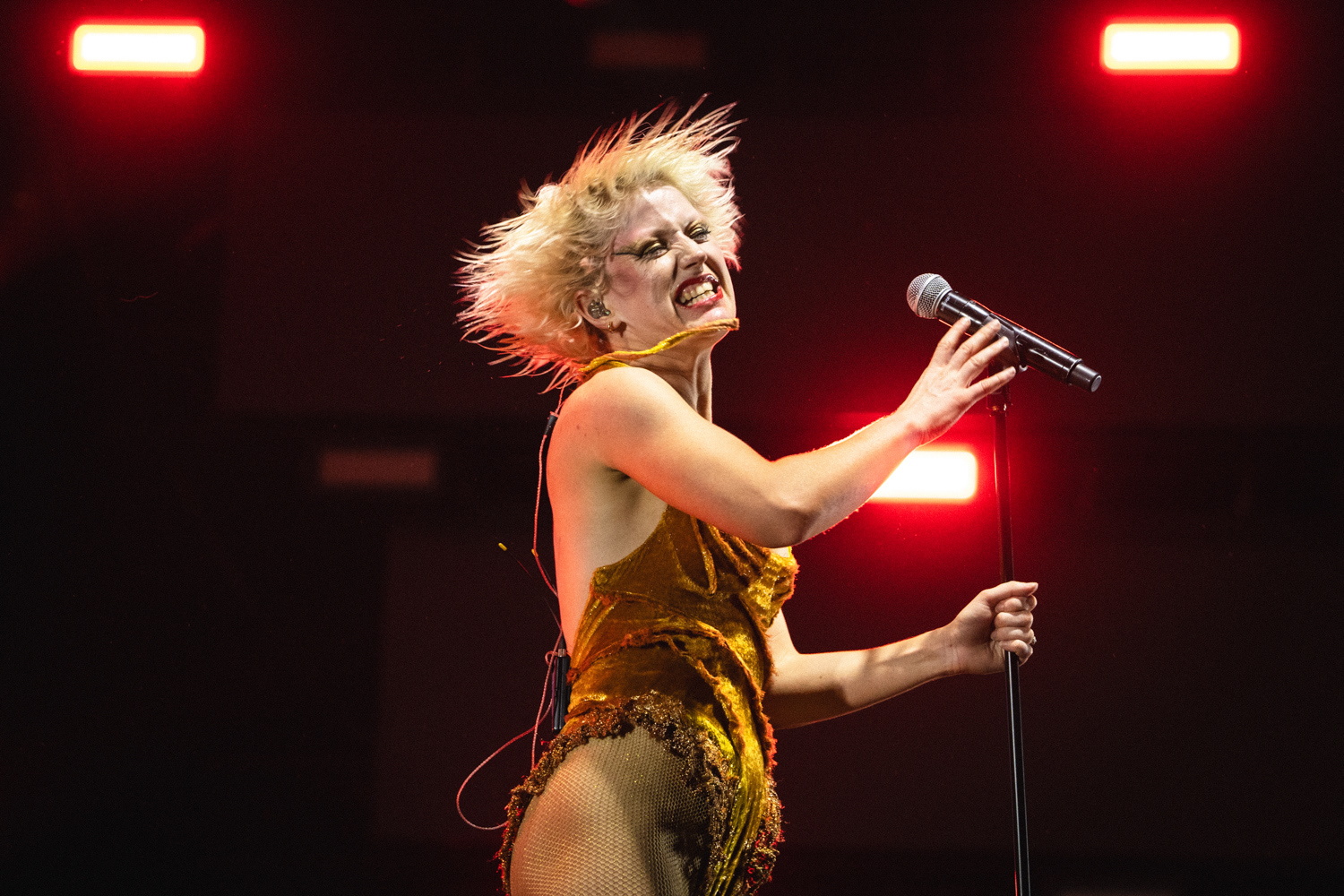 Amyl and the Sniffers