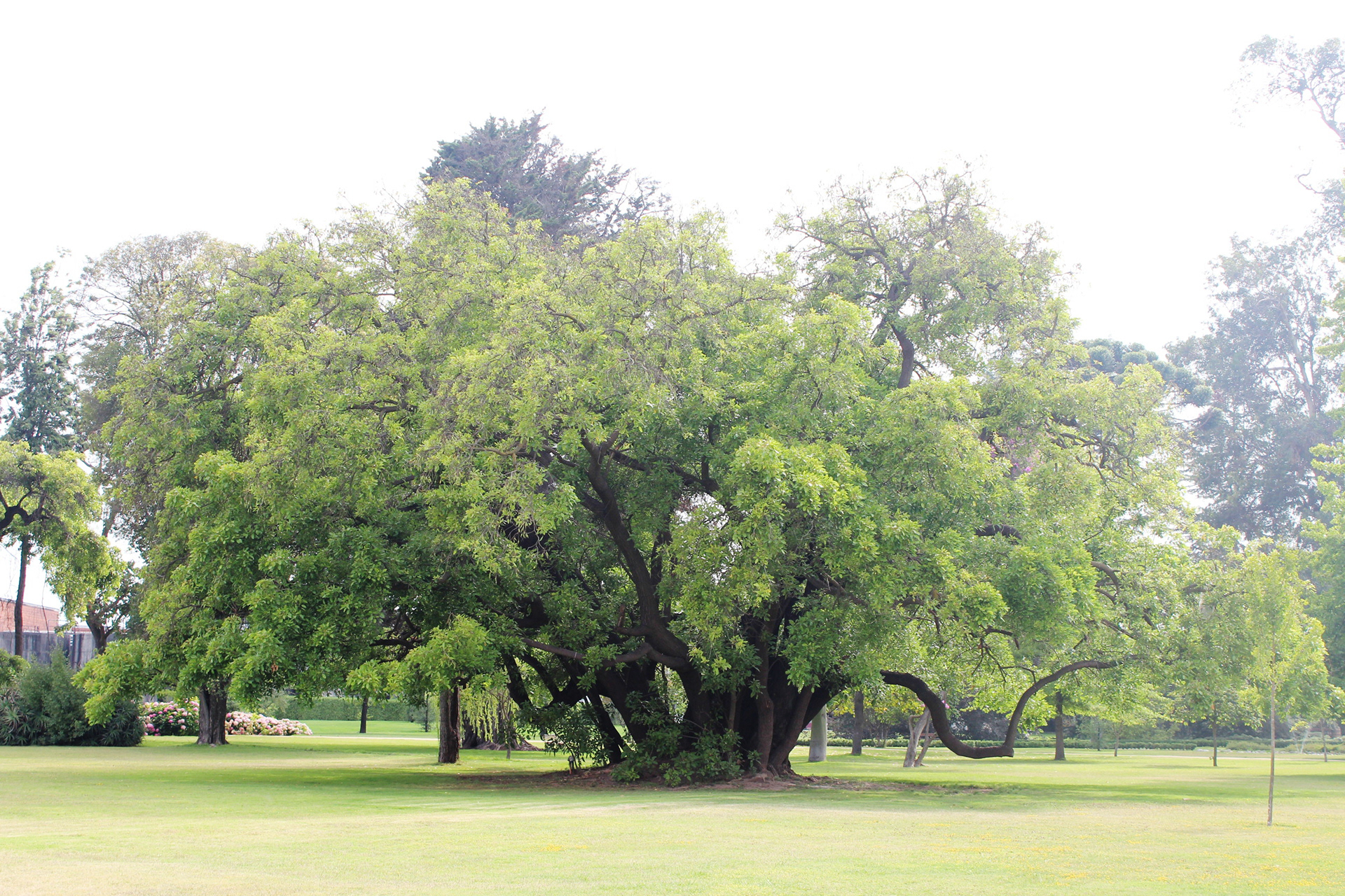 Chile, 2013 - TerezaPRT