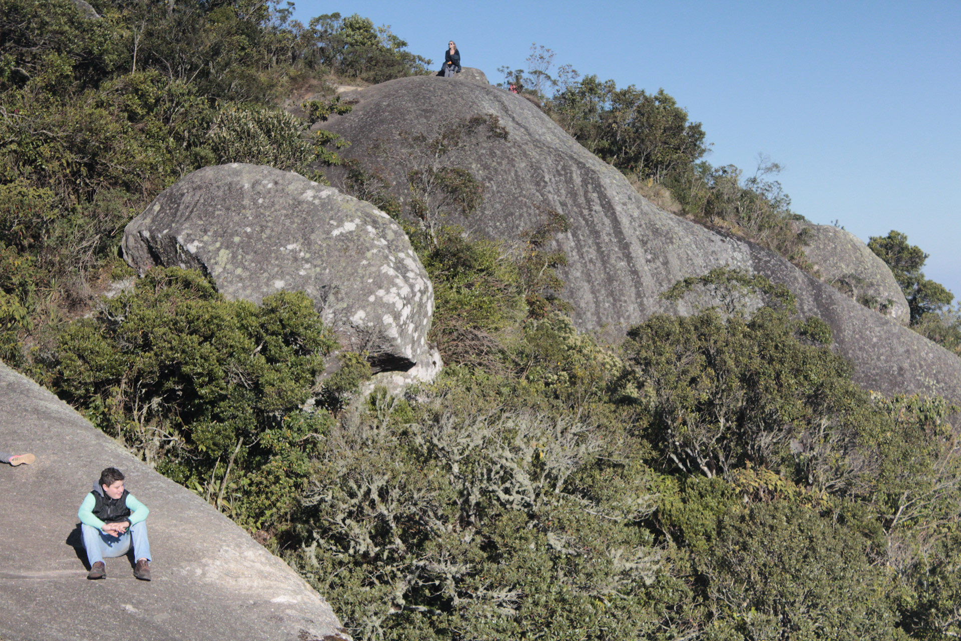 Monte Verde. TerezaPRT