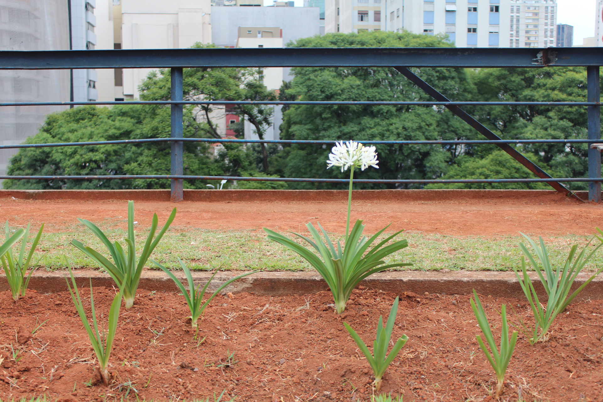 São Paulo. TerezaPRT