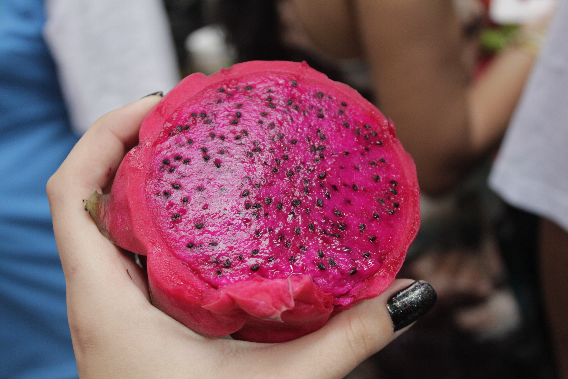 São Paulo. TerezaPRT