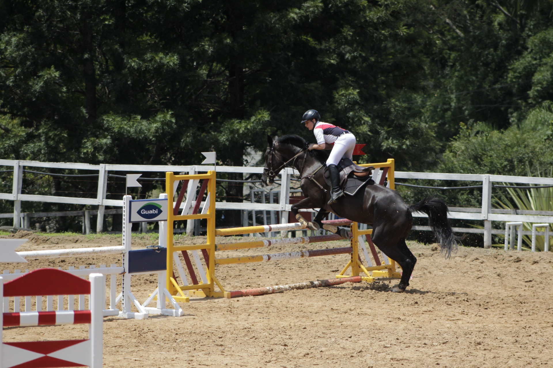 Mogi Mirim. TerezaPRT