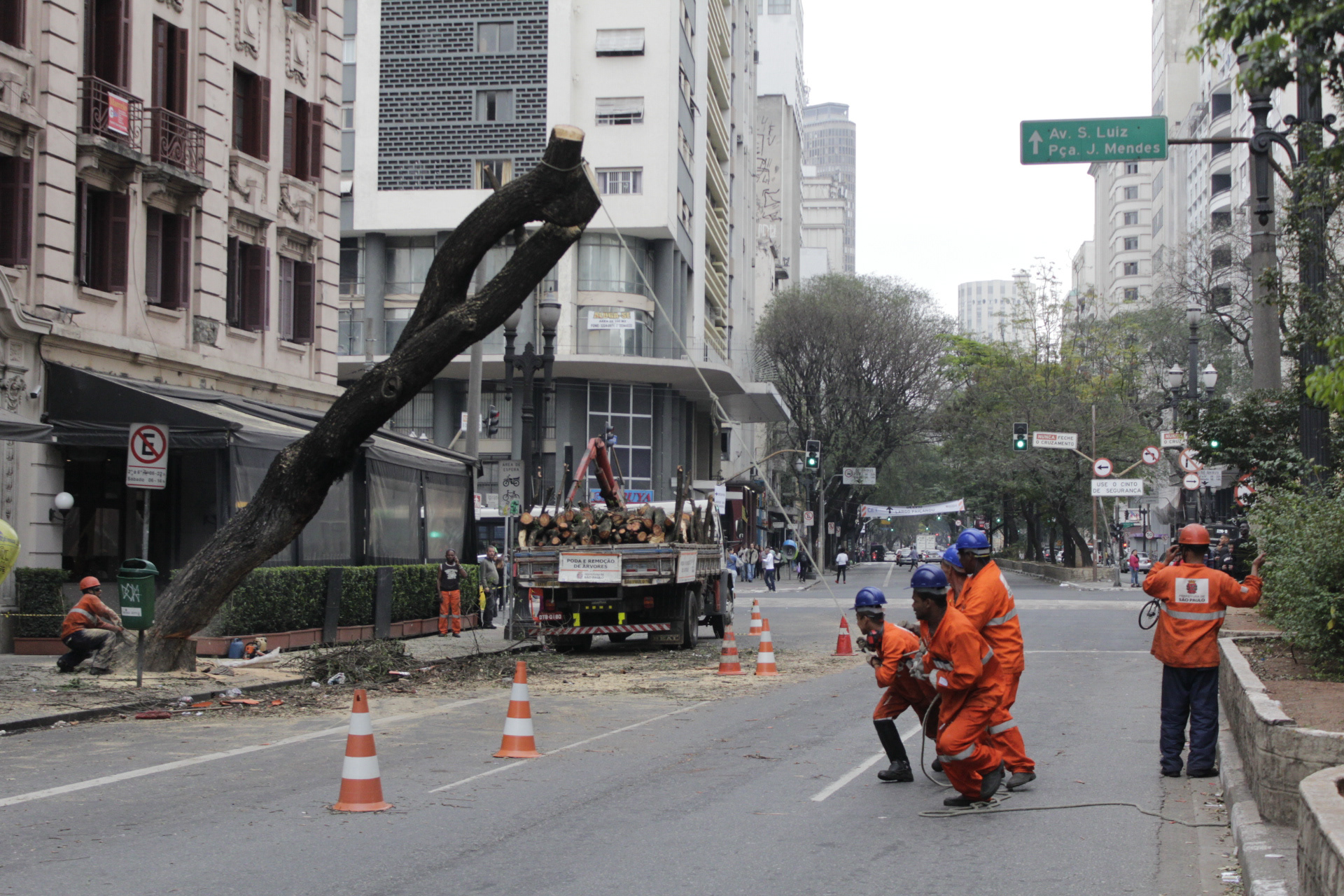 São Paulo. TerezaPRT