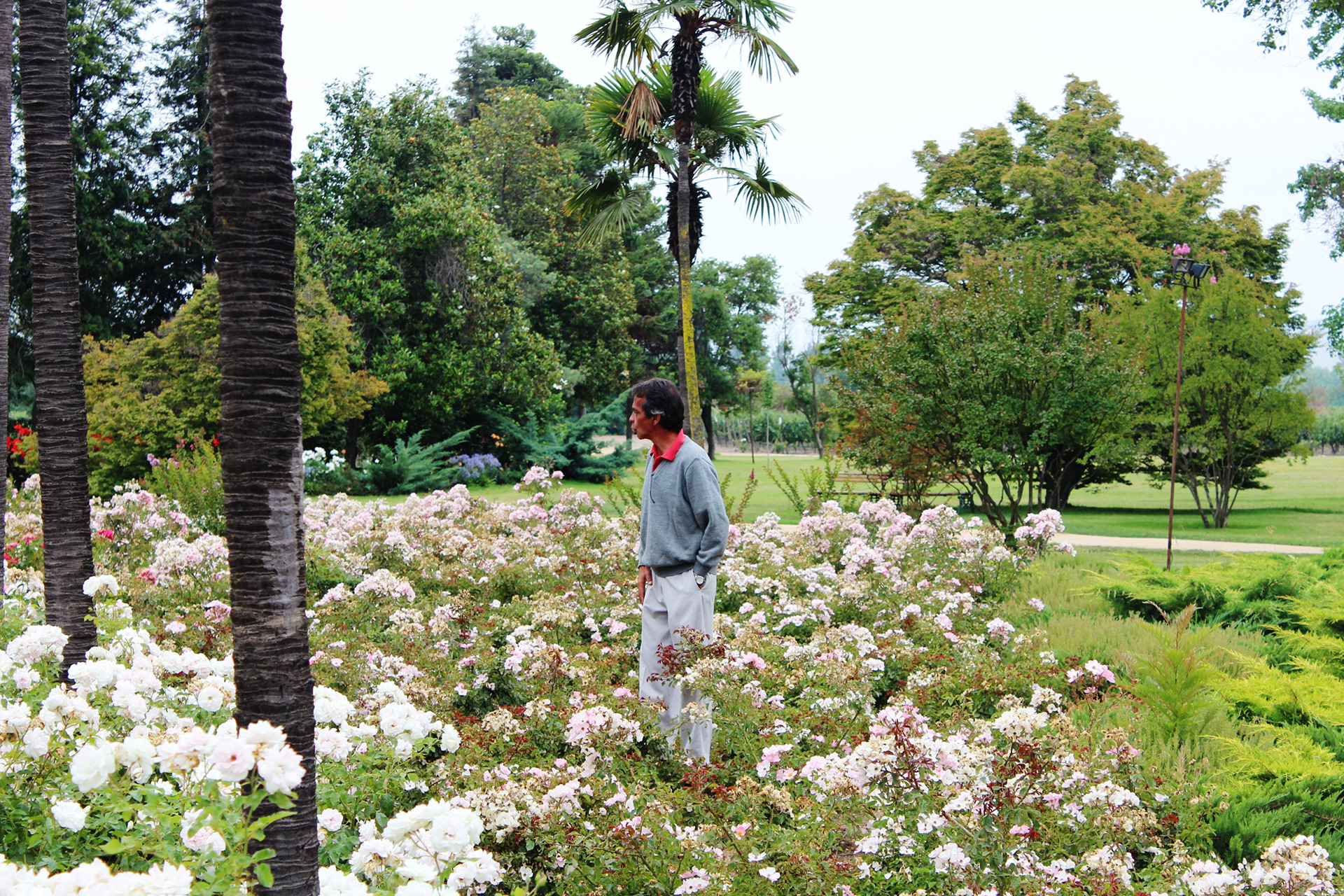 Chile, 2013 - TerezaPRT