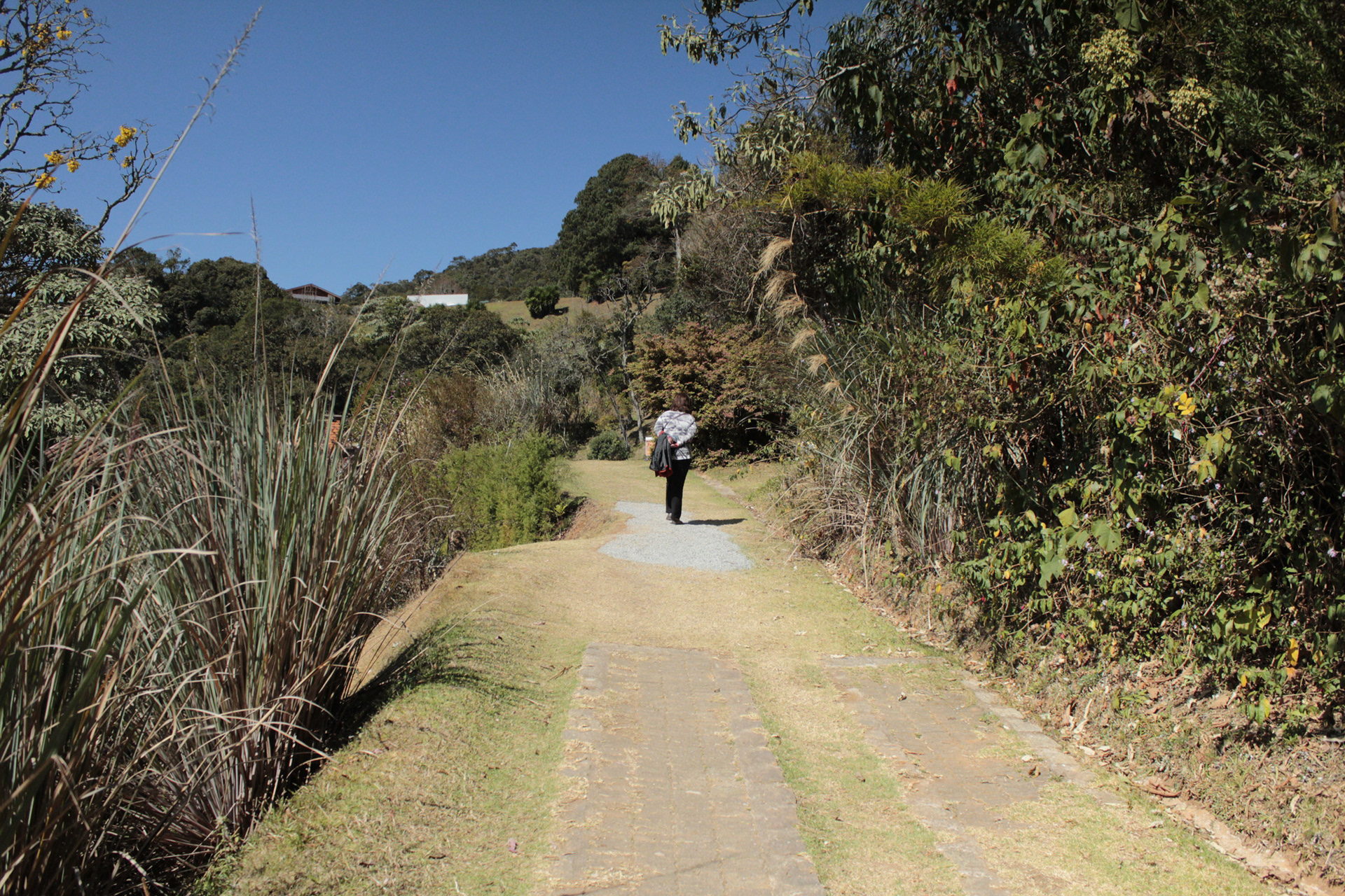 Campos do Jordão. TerezaPRT