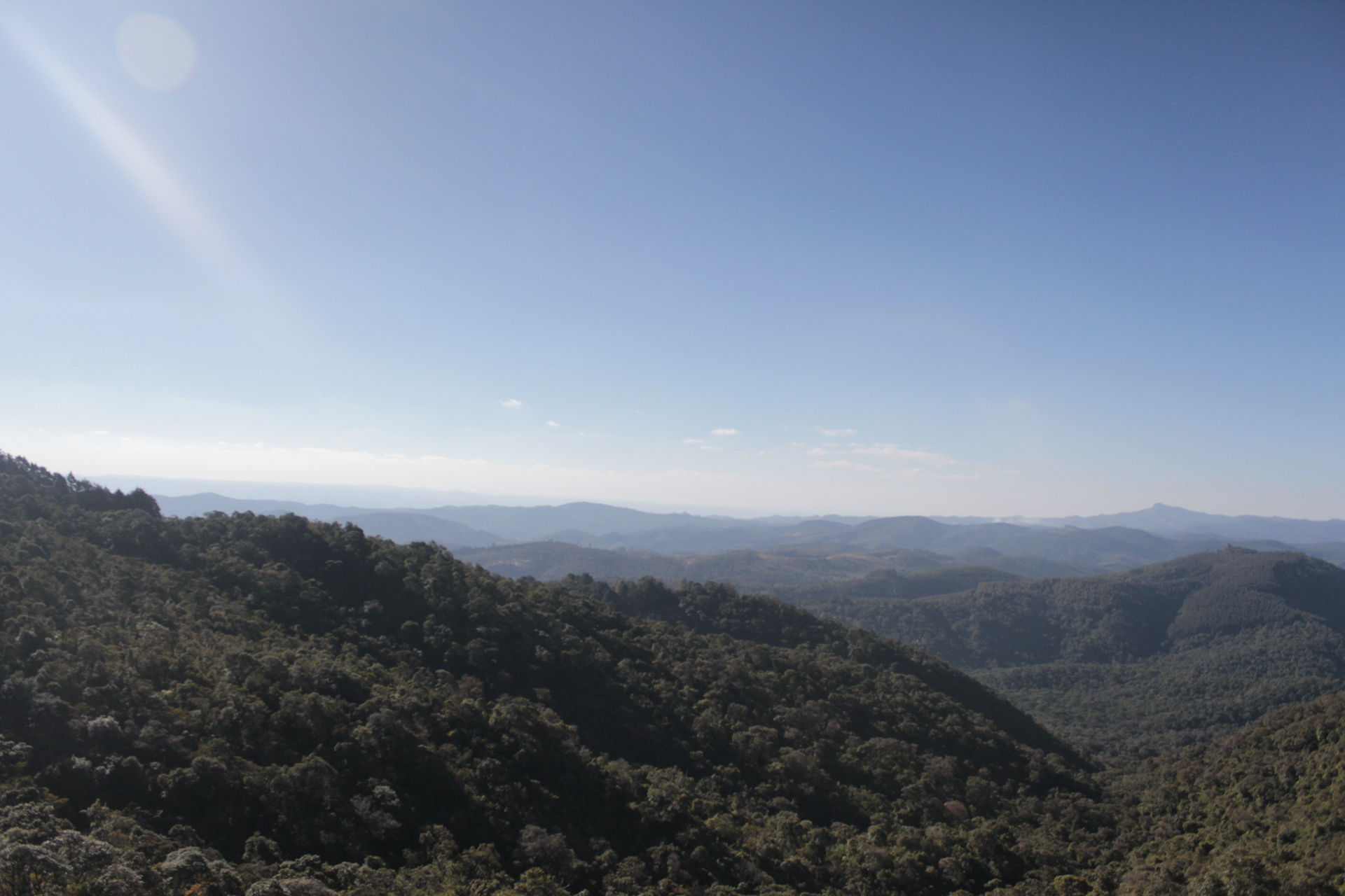 Monte Verde. TerezaPRT