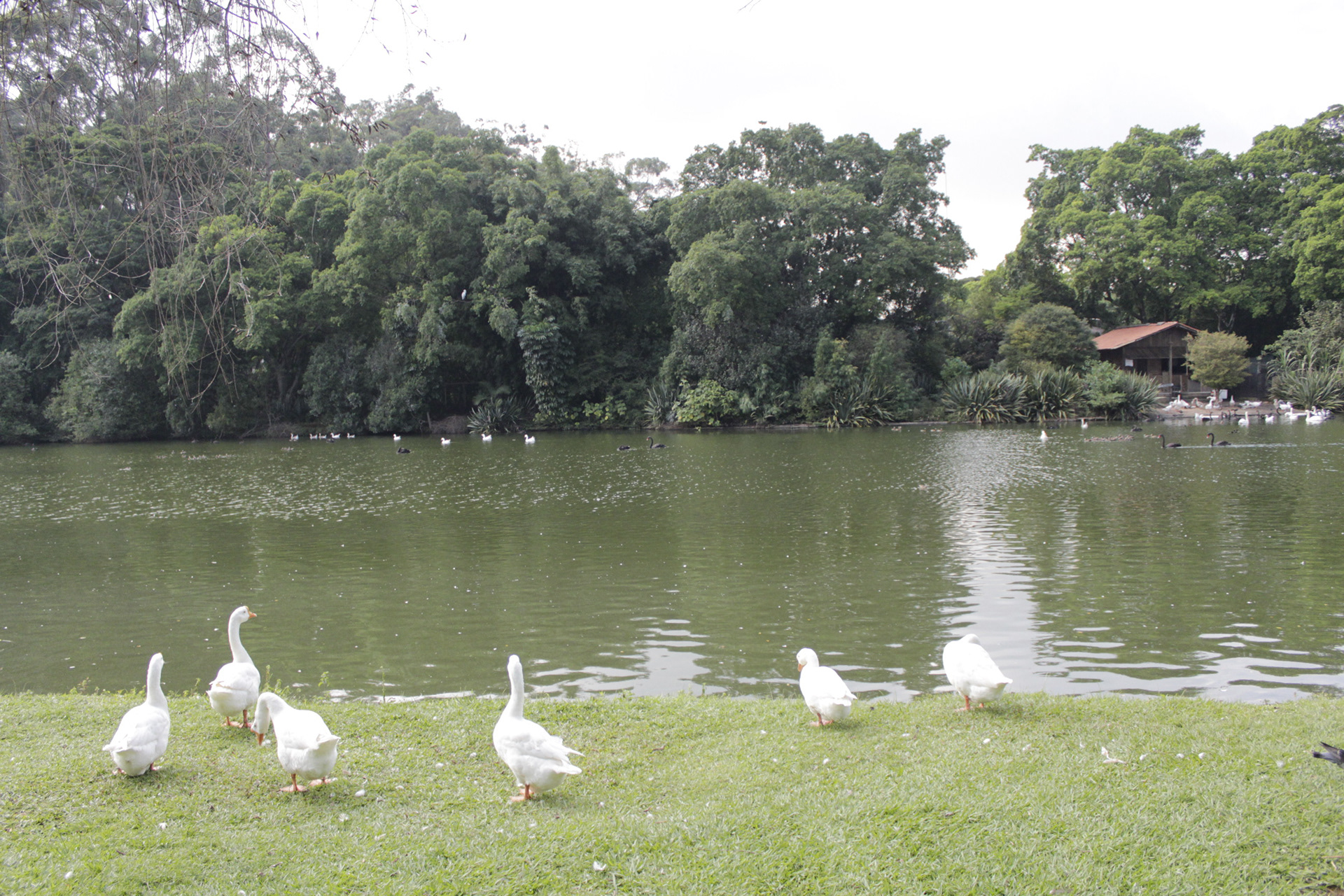 São Paulo. TerezaPRT