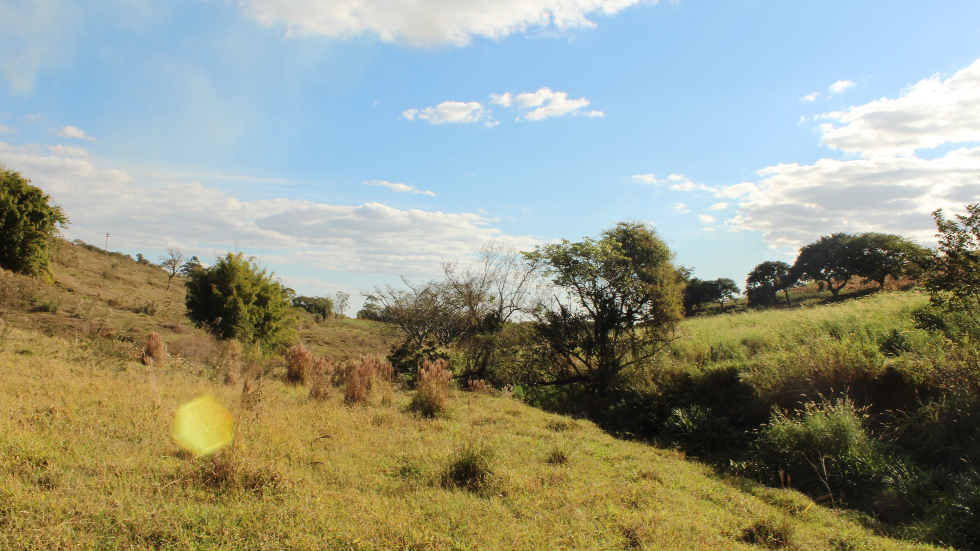 Mogi Mirim. TerezaPRT