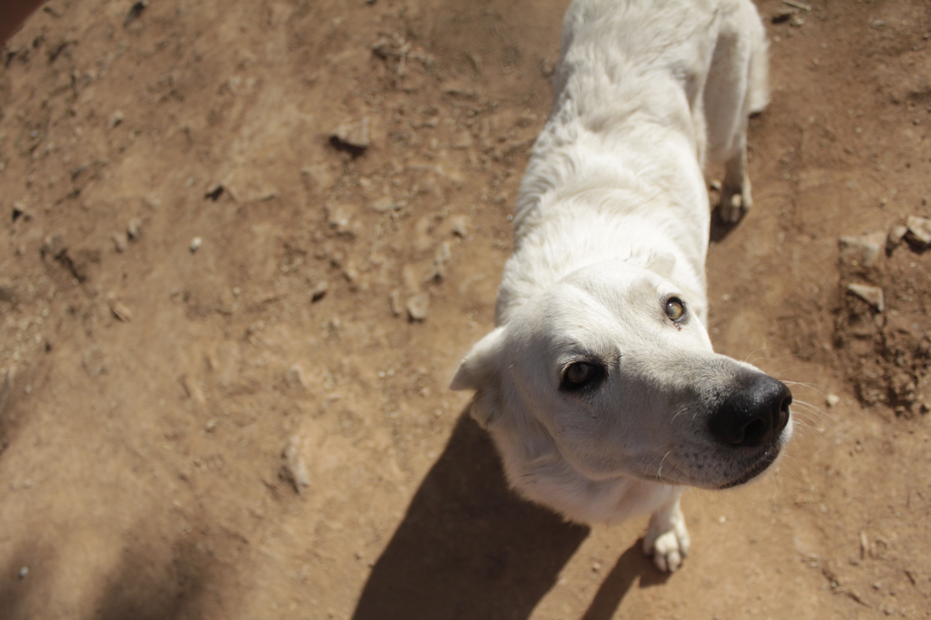 São Paulo. TerezaPRT
