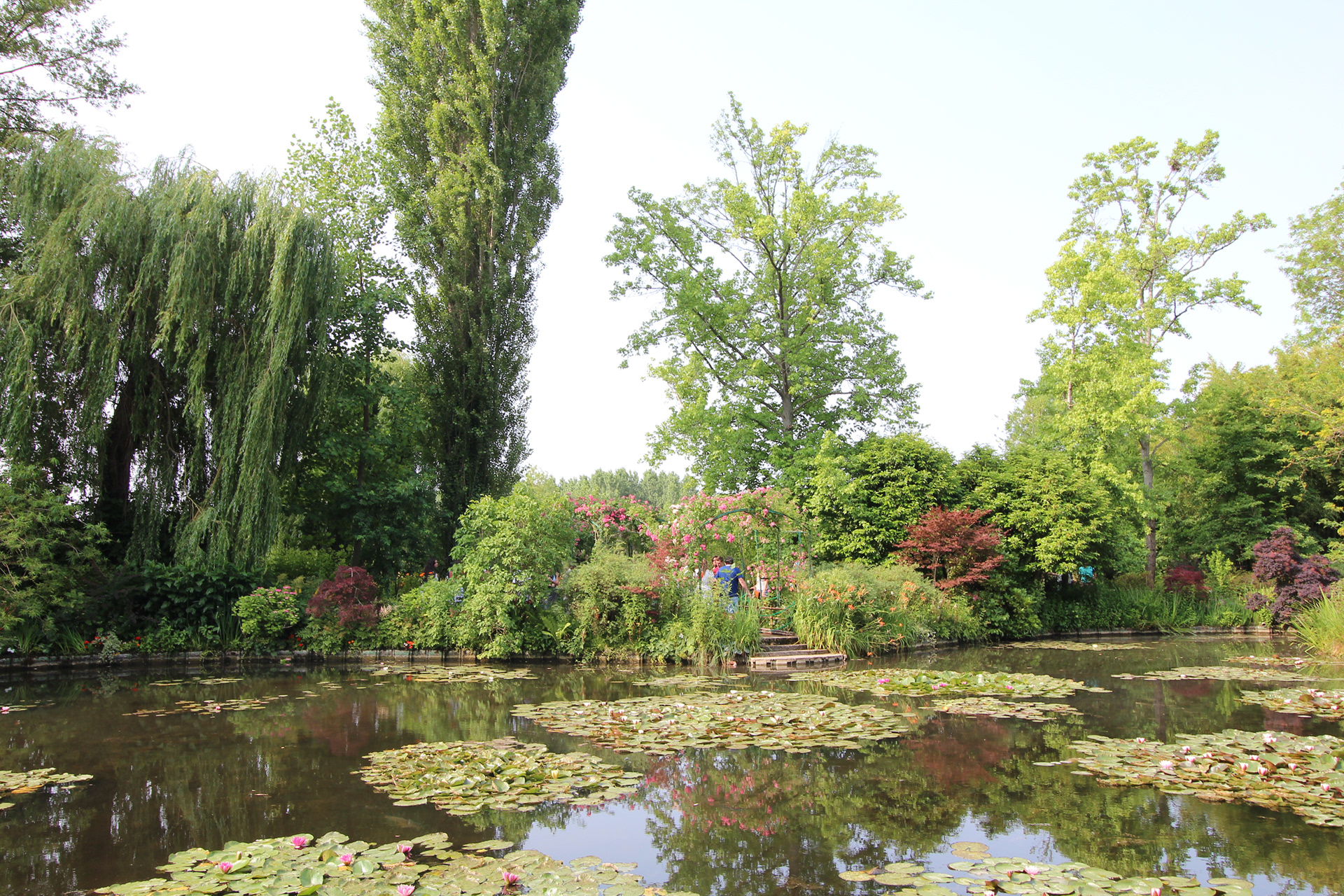 Giverny. TerezaPRT