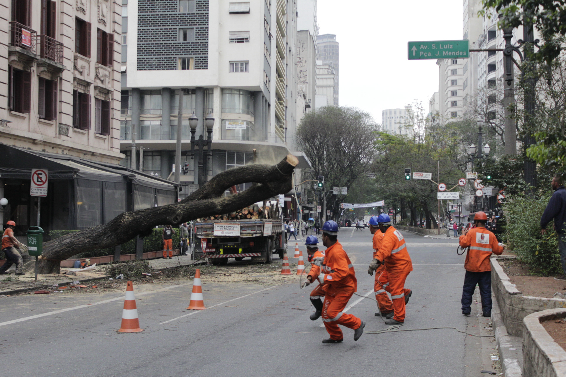 São Paulo. TerezaPRT