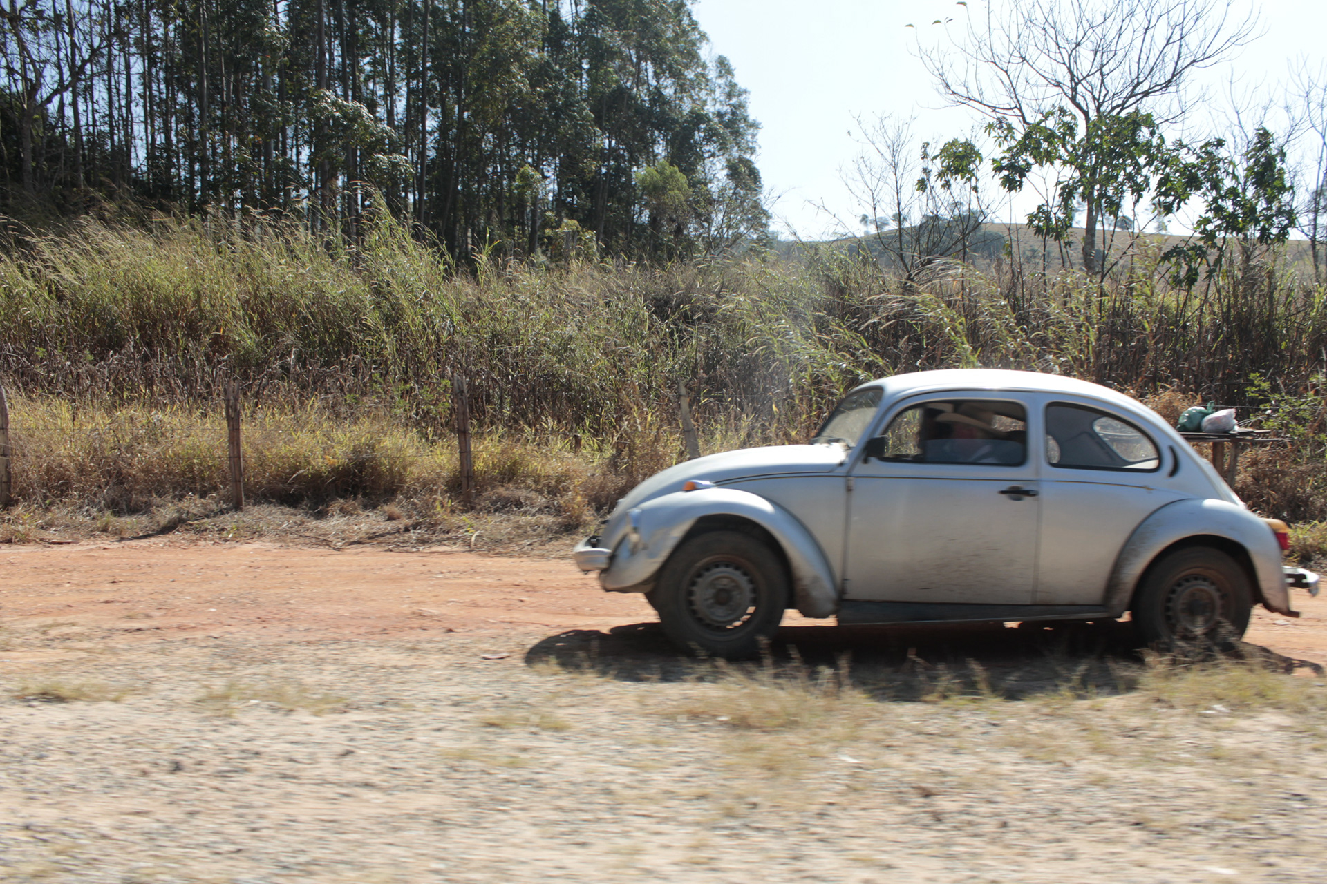 Monte Verde. TerezaPRT