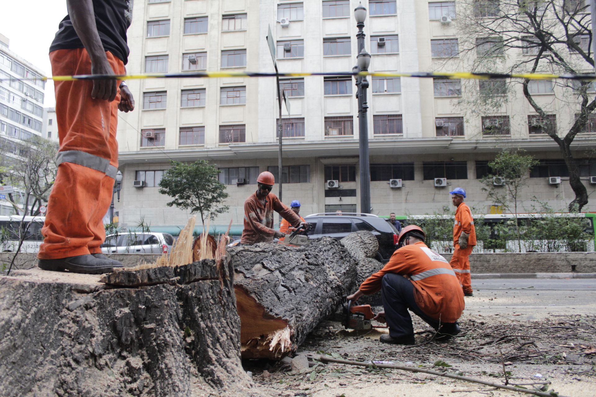 São Paulo. TerezaPRT
