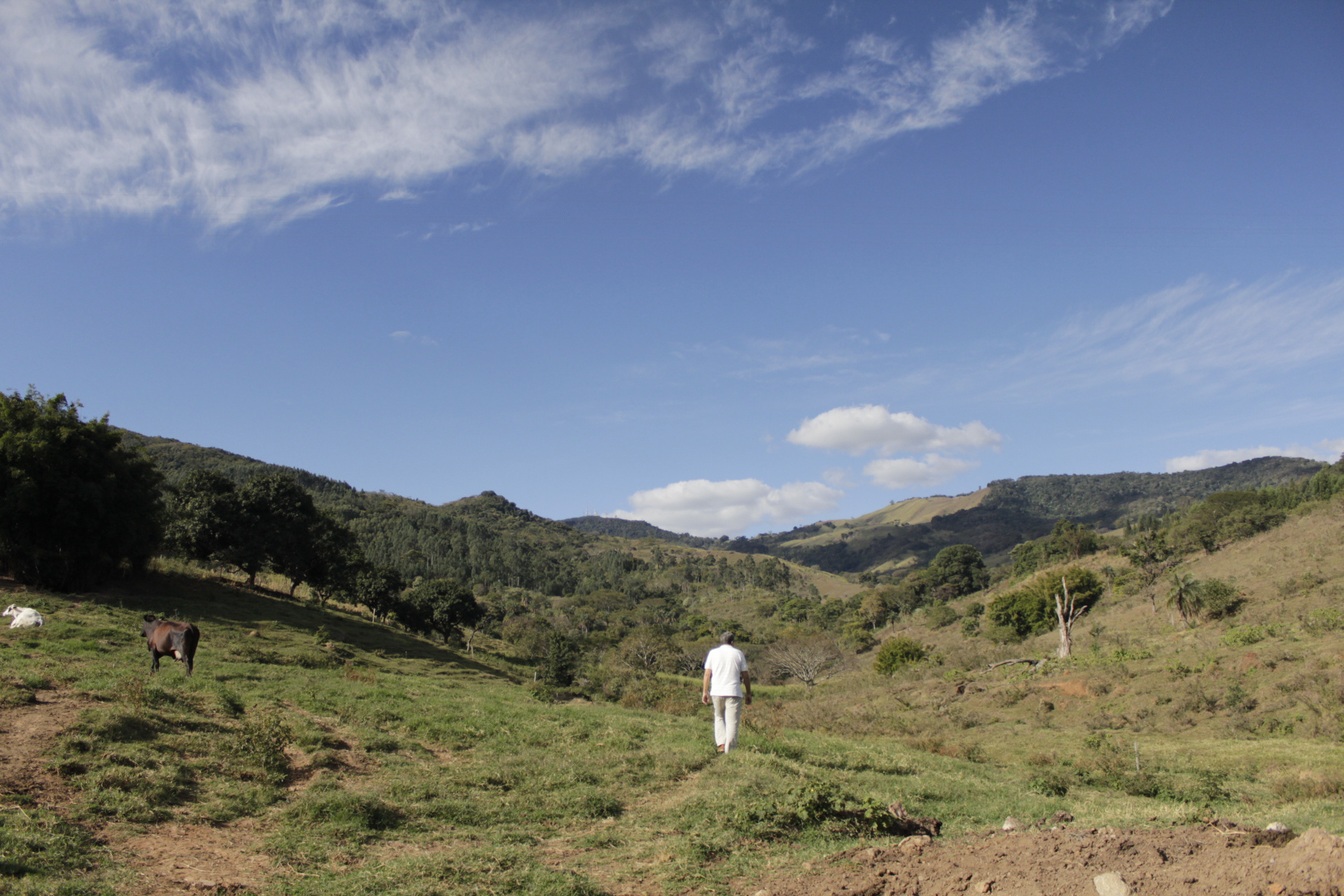 São Paulo. TerezaPRT