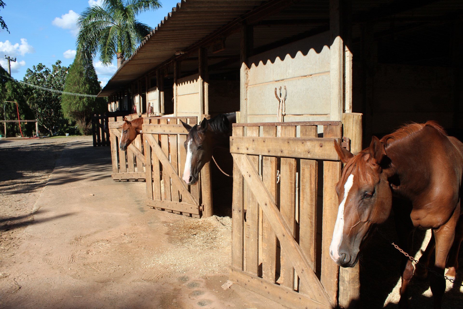 Mogi Mirim. TerezaPRT