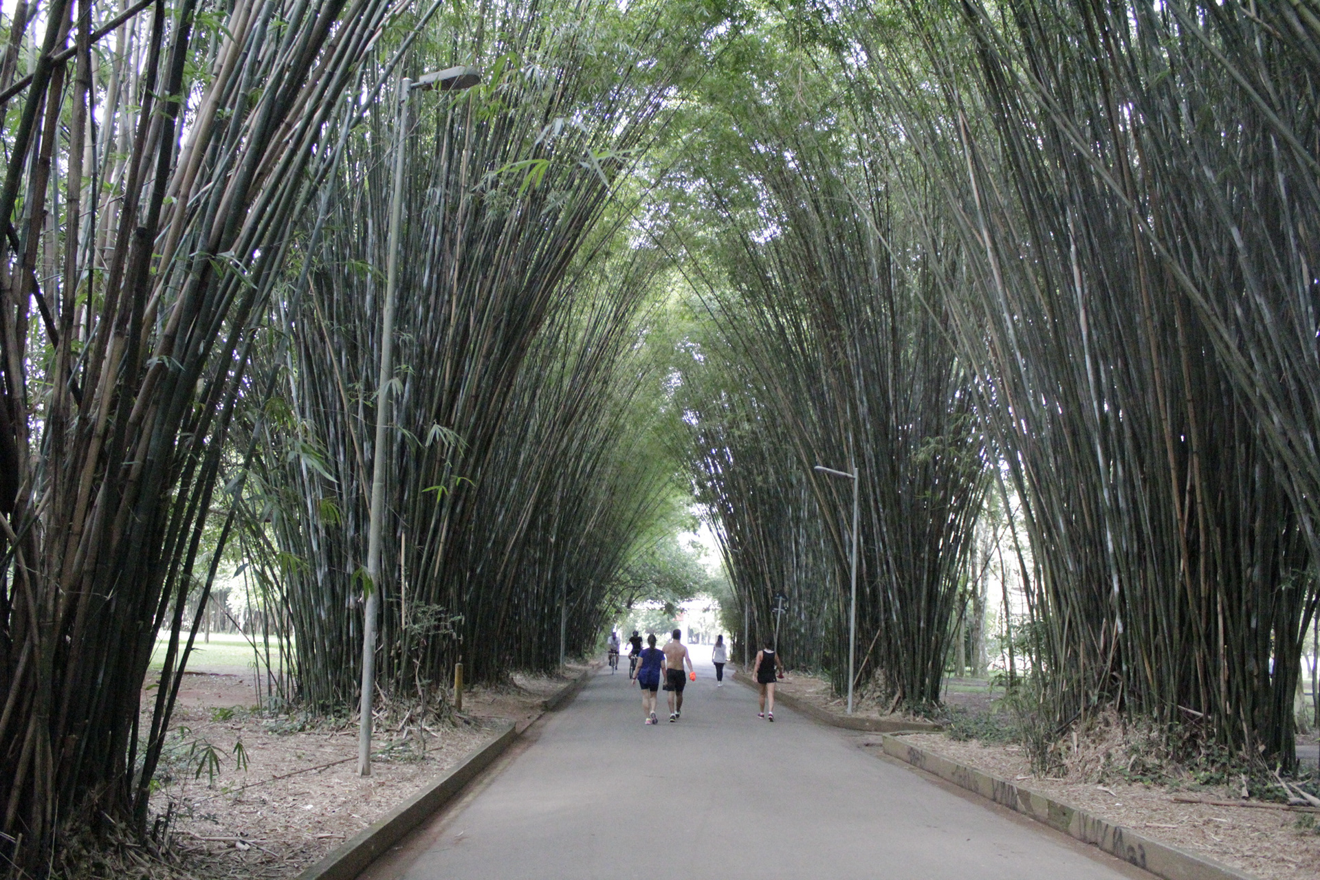 São Paulo. TerezaPRT