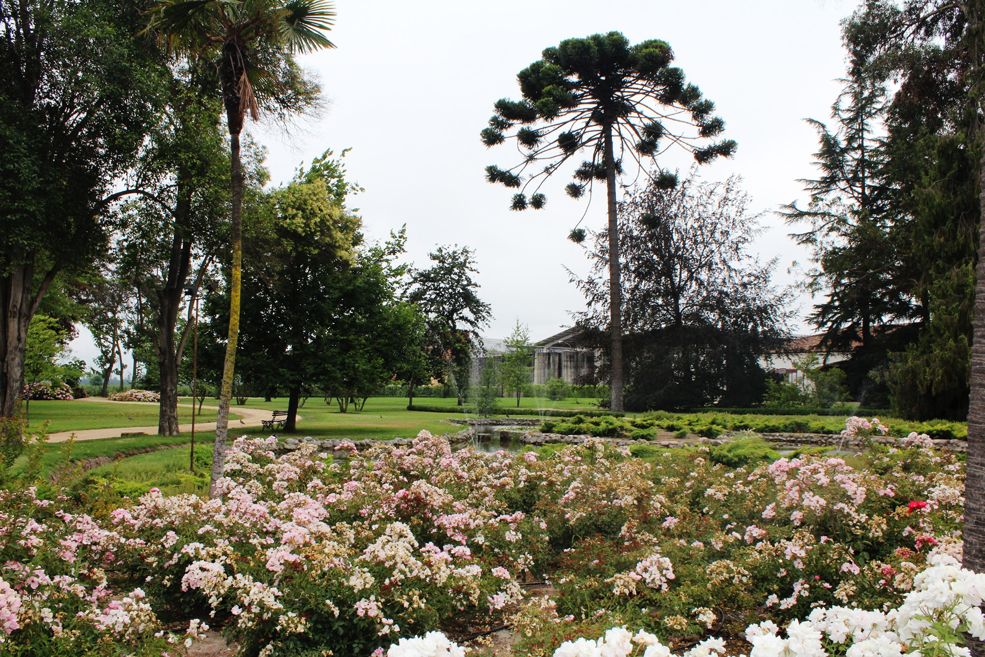 Chile, 2013 - TerezaPRT