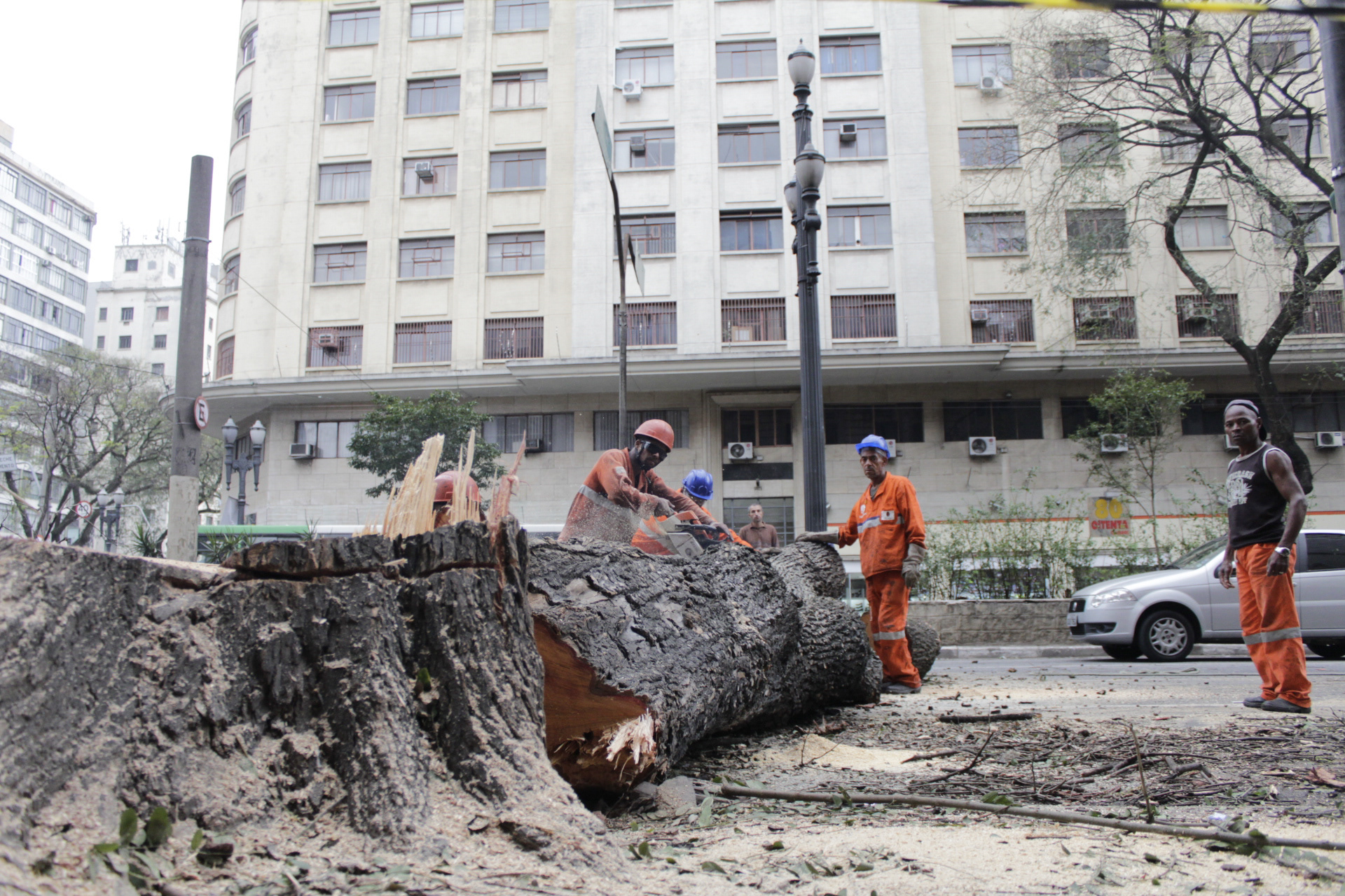 São Paulo. TerezaPRT