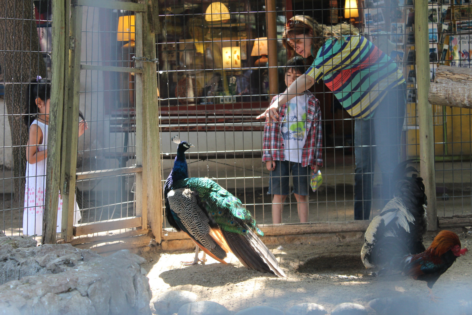 Chile, 2013 - TerezaPRT