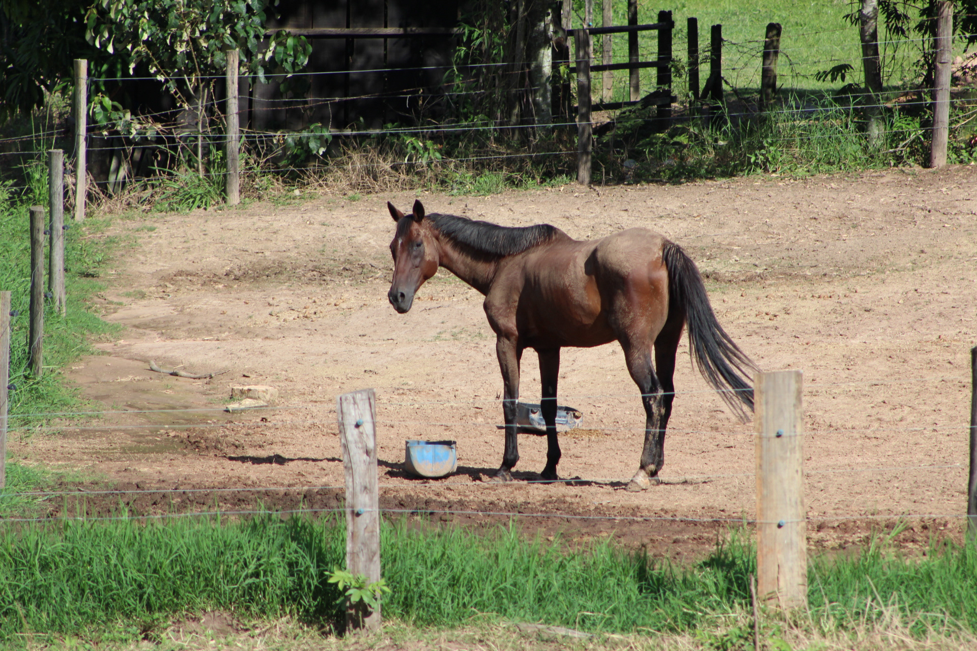 Mogi Mirim. TerezaPRT