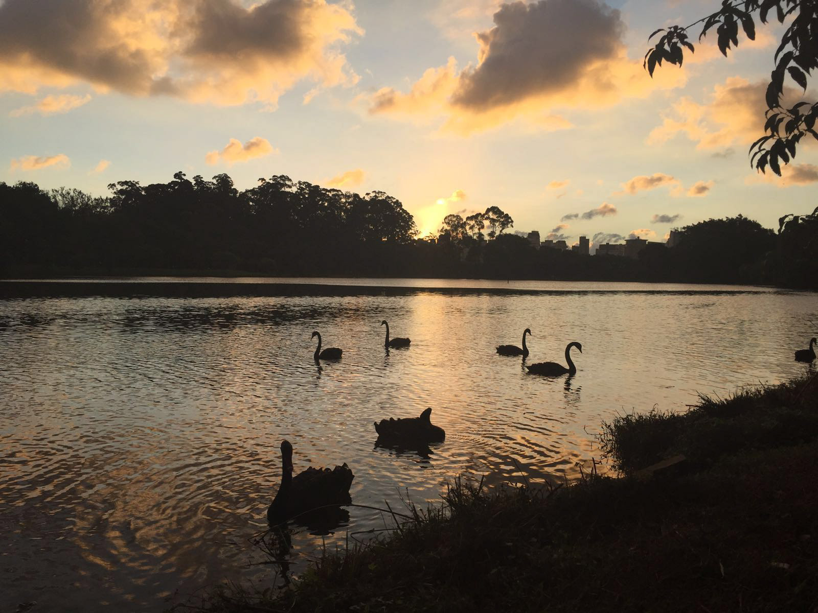 São Paulo. TerezaPRT