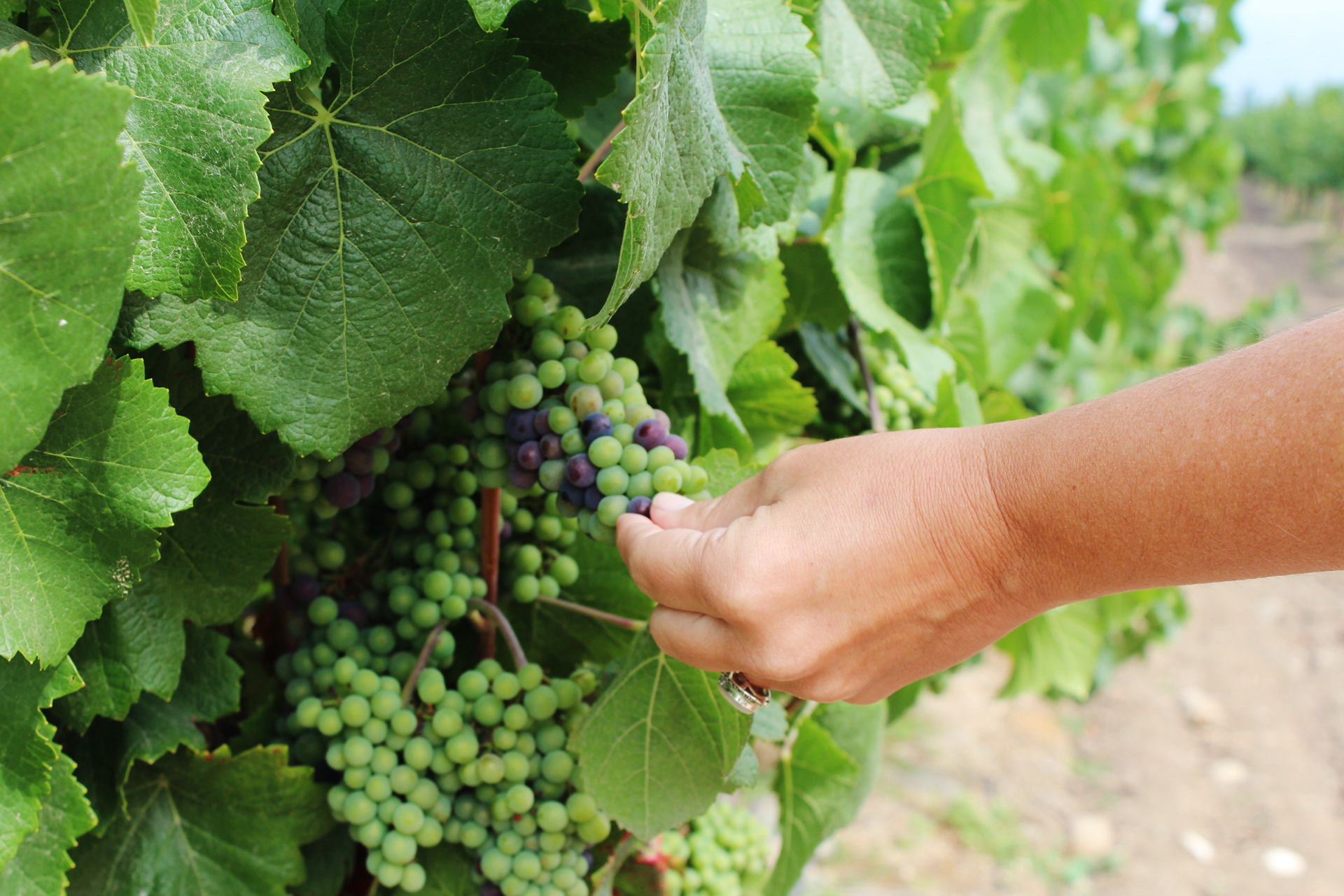 Chile, 2013 - TerezaPRT