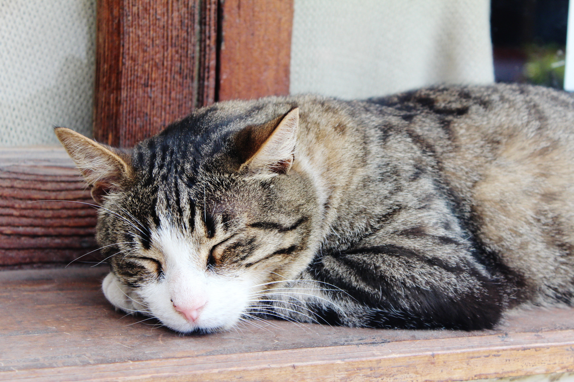 Chile, 2013 - TerezaPRT