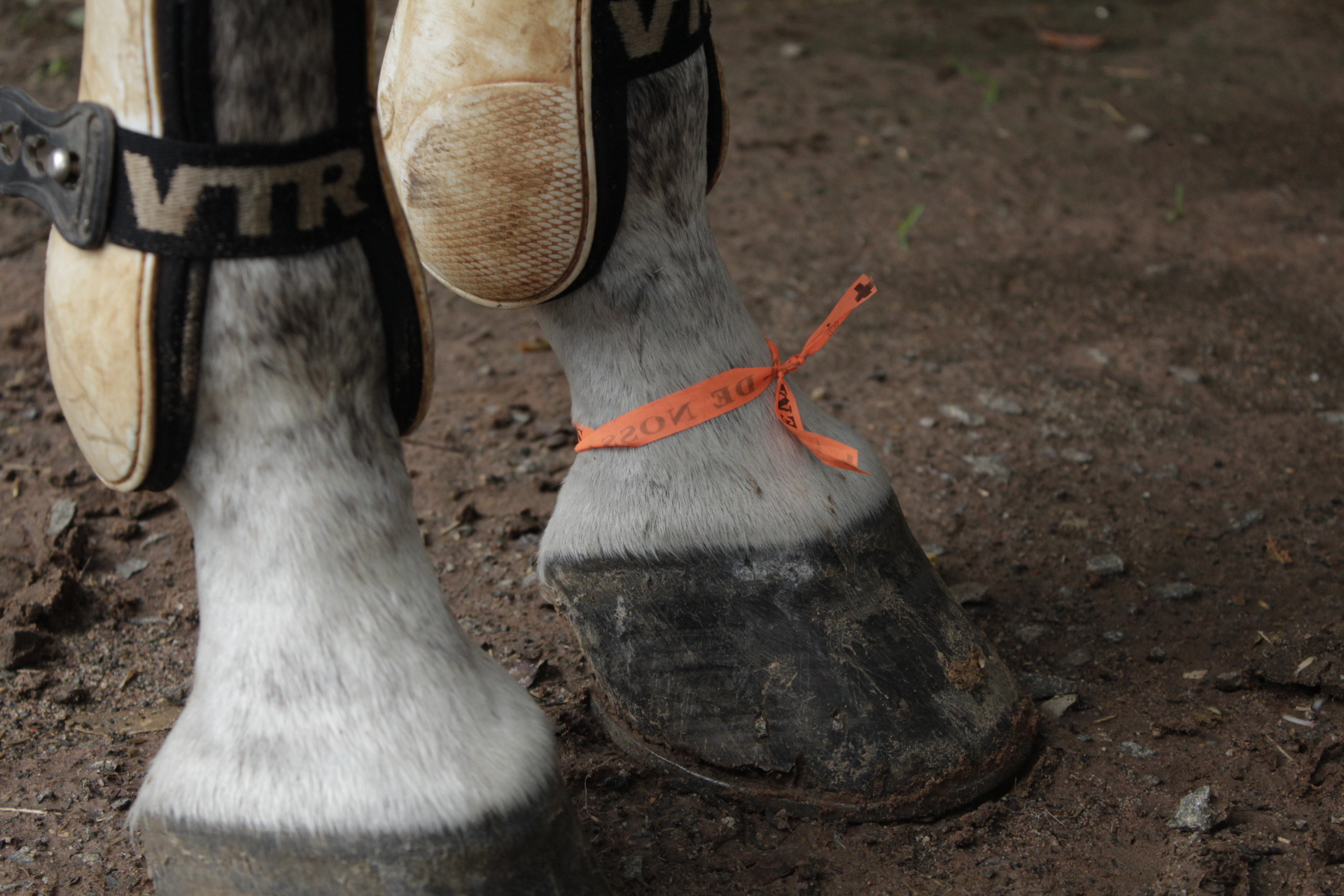 Mogi Mirim. TerezaPRT