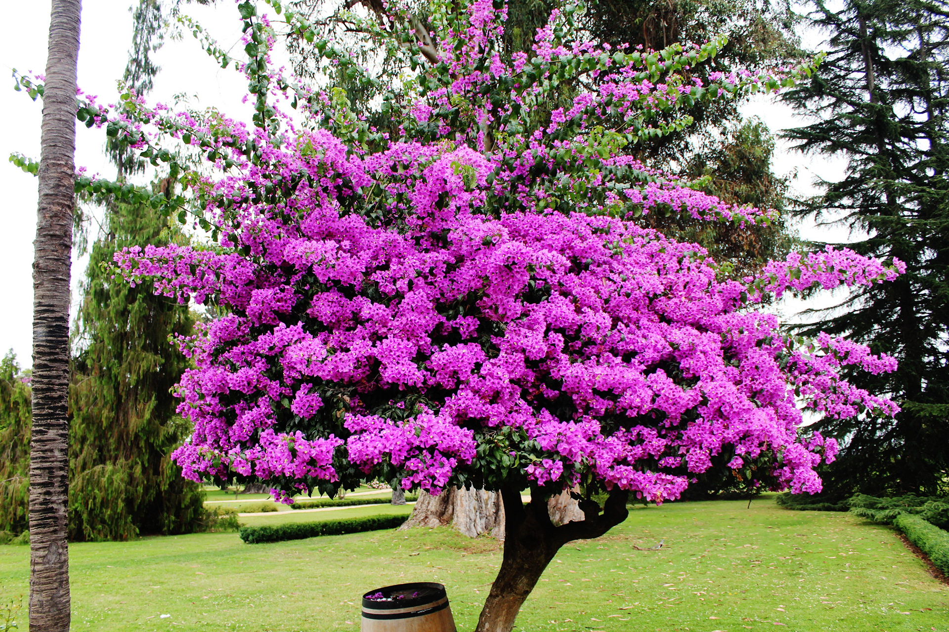 Chile, 2013 - TerezaPRT