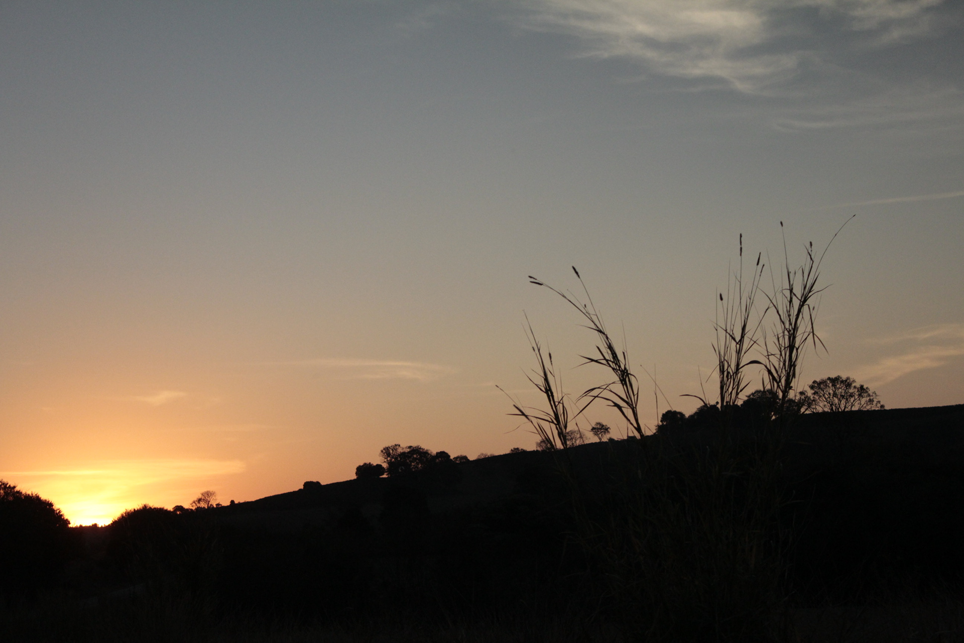 Mogi Mirim. TerezaPRT