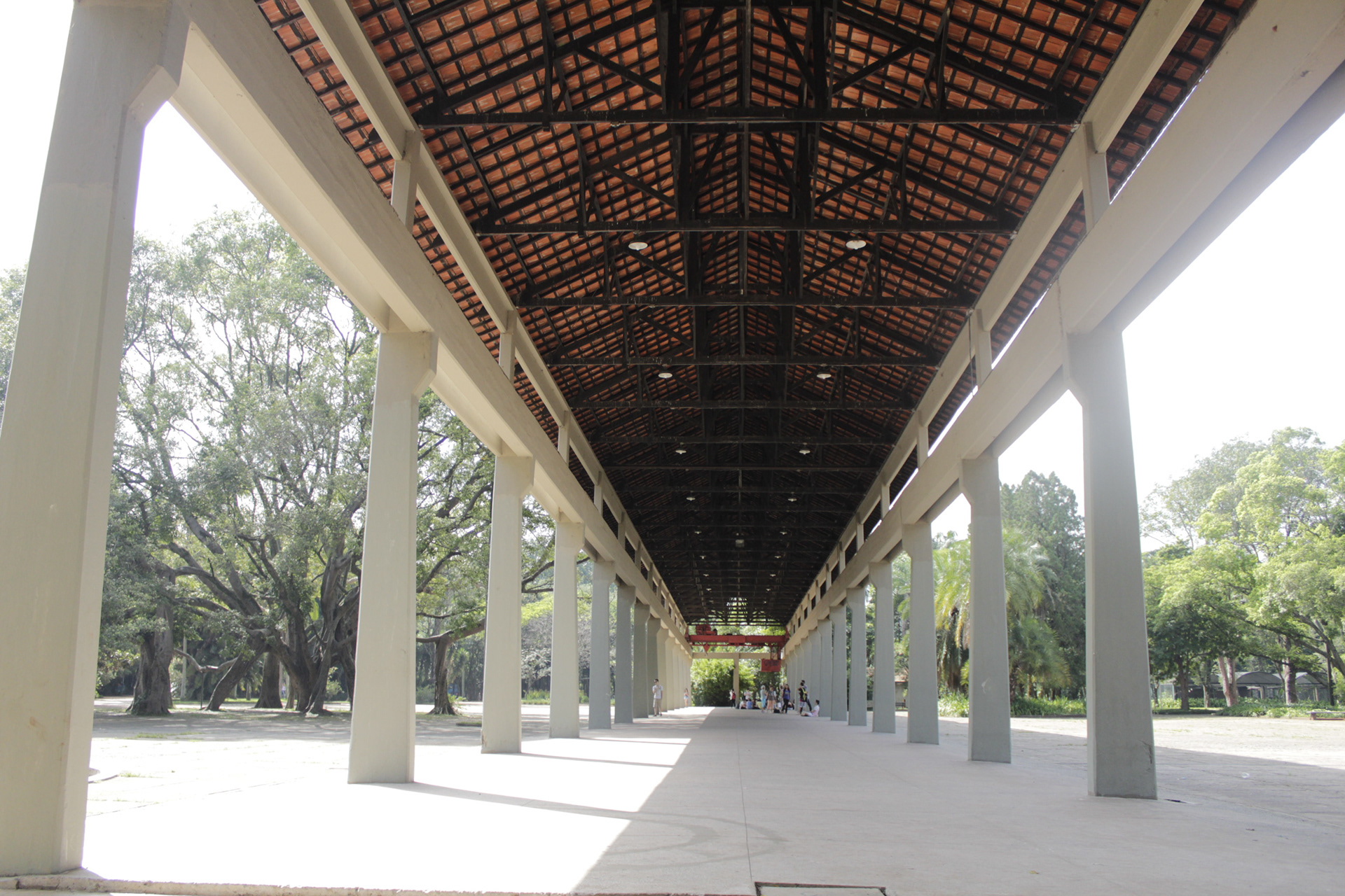 São Paulo. TerezaPRT