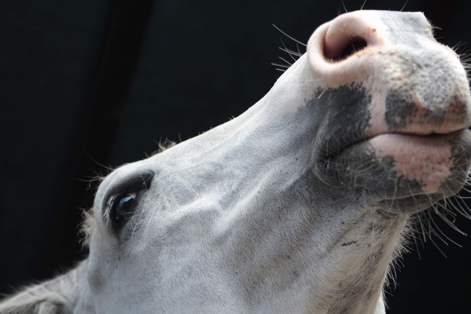 Mogi Mirim. TerezaPRT