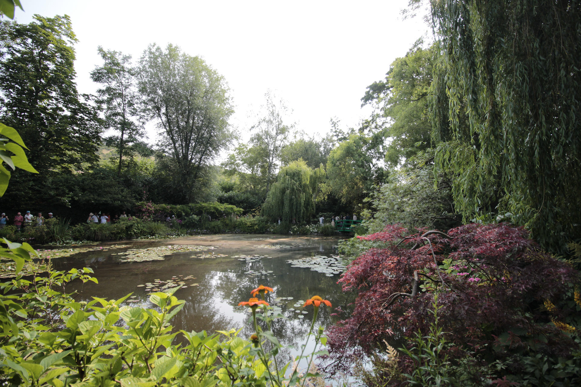 Giverny. TerezaPRT