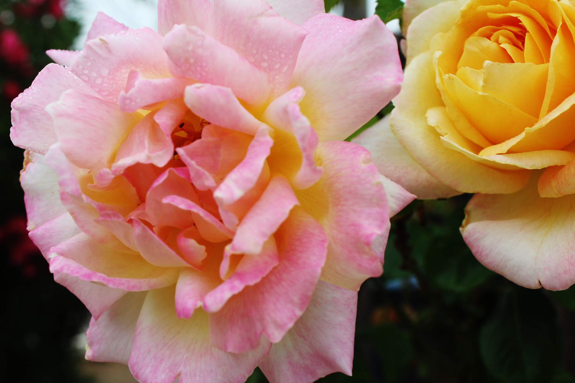 Chile, 2013 - TerezaPRT