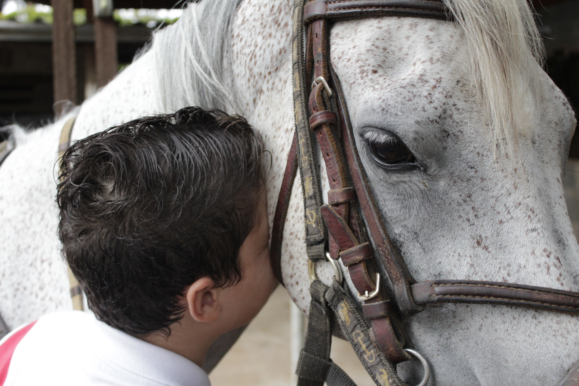 Mogi Mirim. TerezaPRT