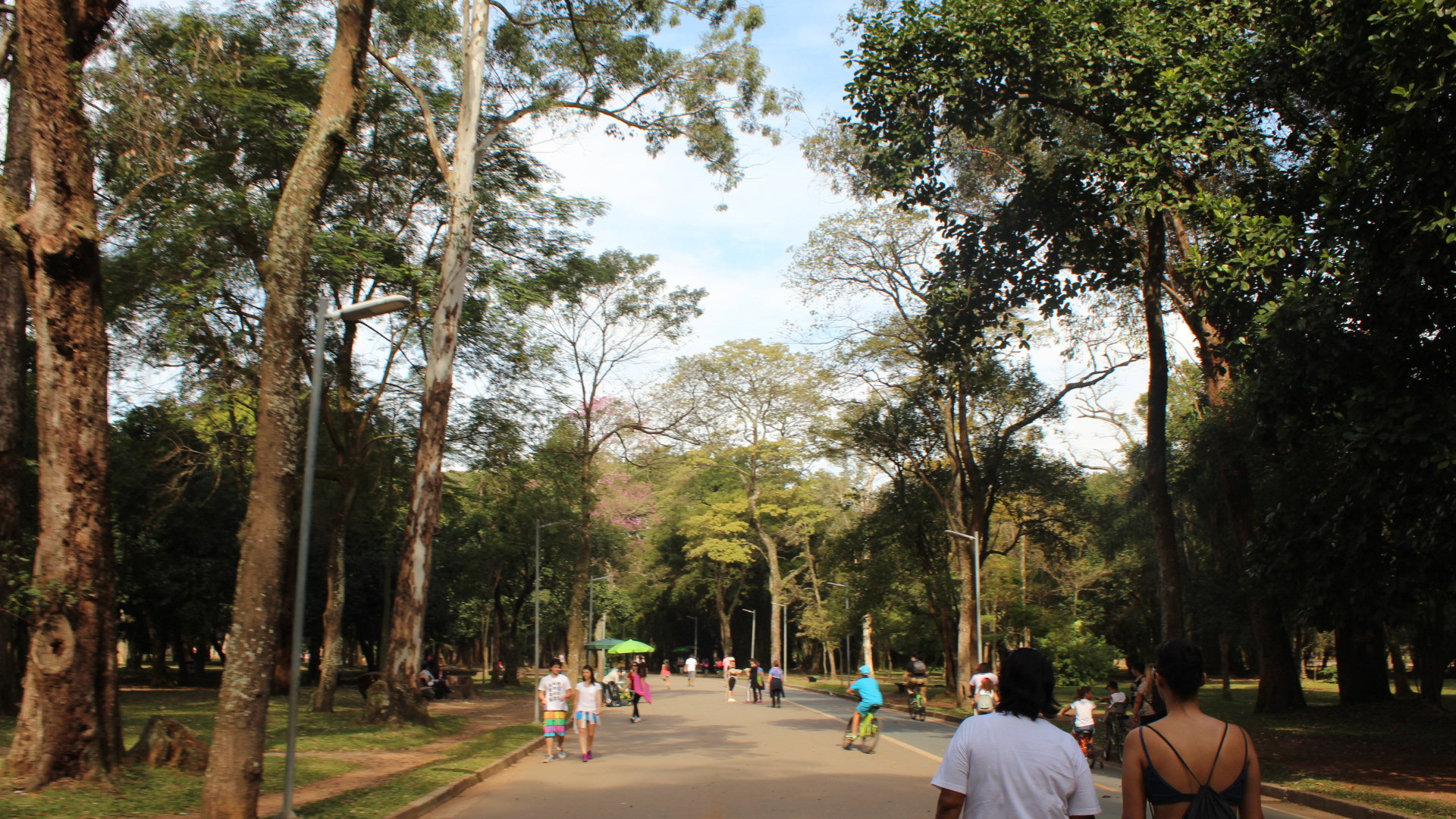 São Paulo. TerezaPRT