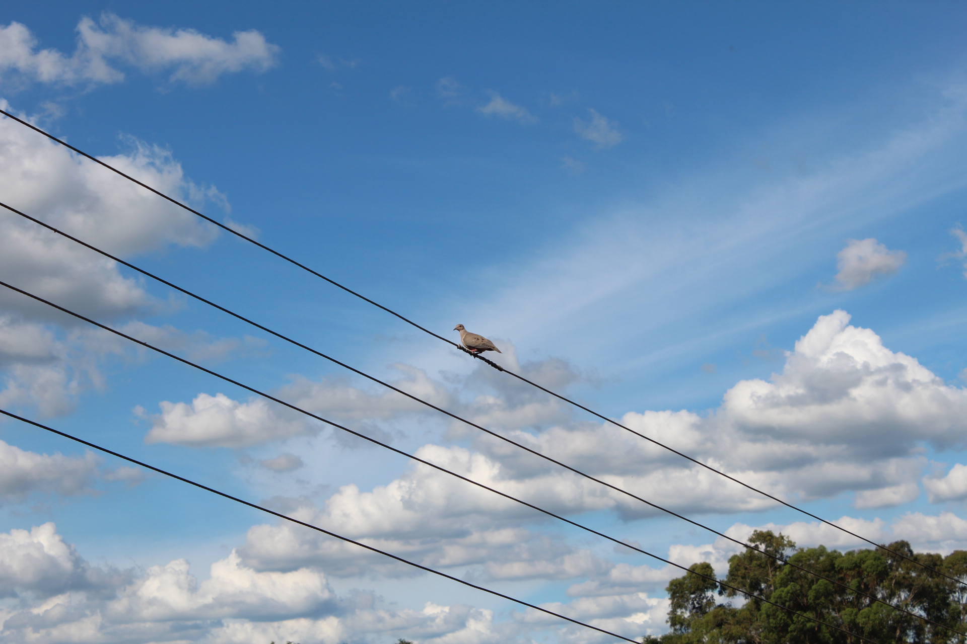 Mogi Mirim. TerezaPRT