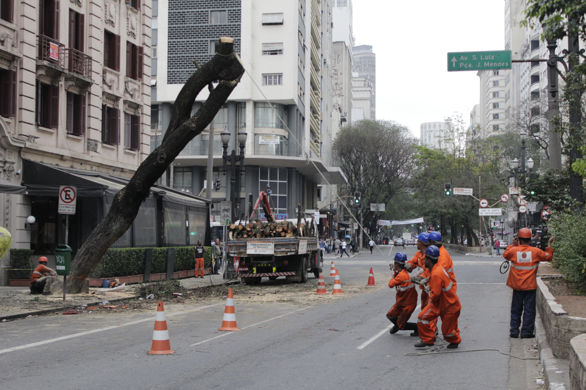 São Paulo. TerezaPRT