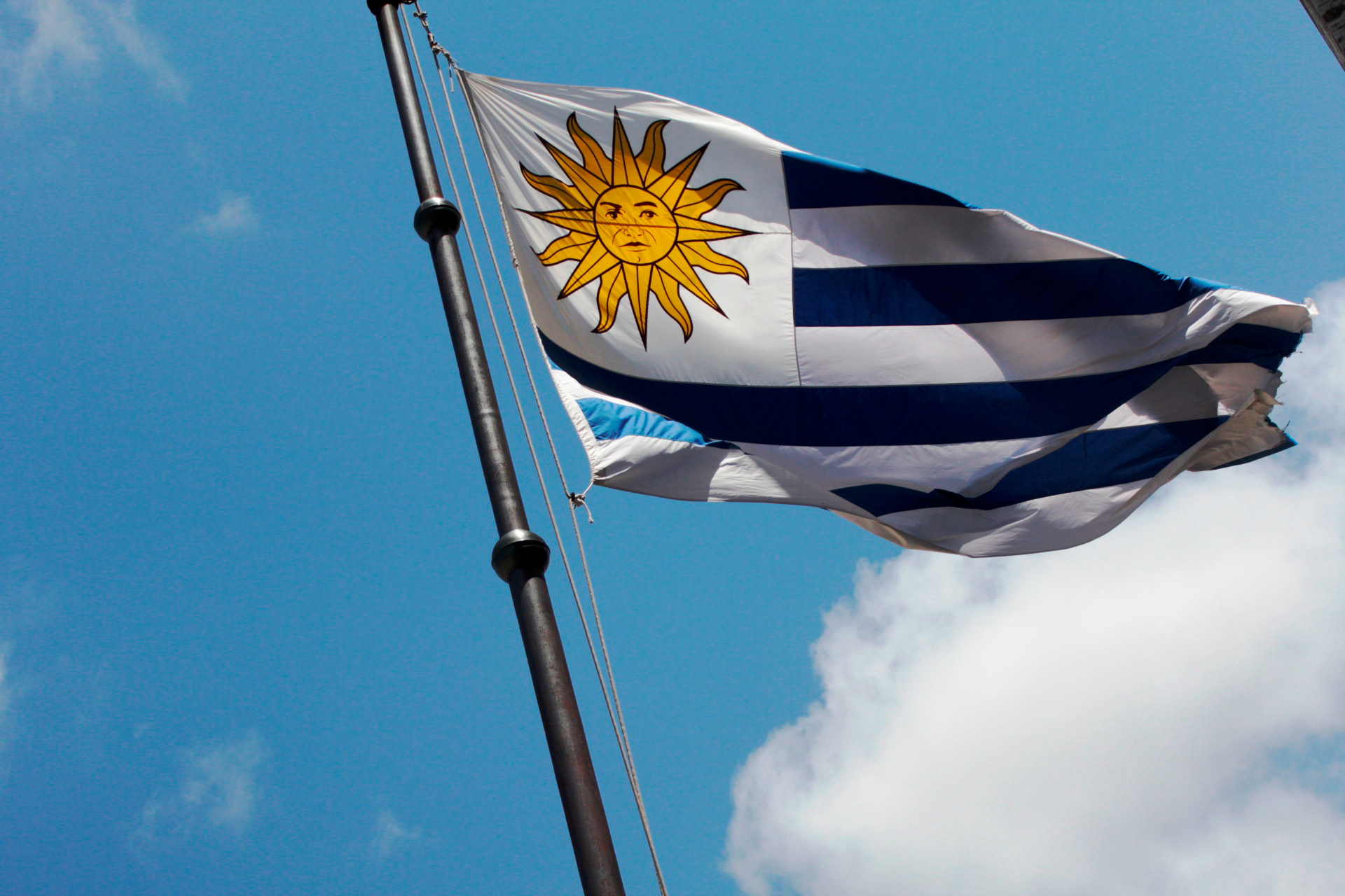 Montevideo. TerezaPRT