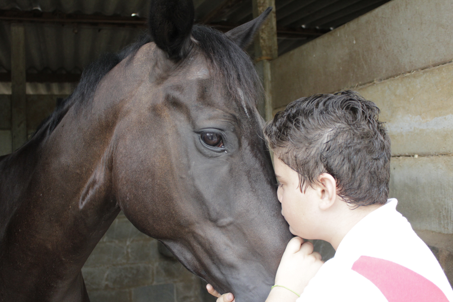 Mogi Mirim. TerezaPRT