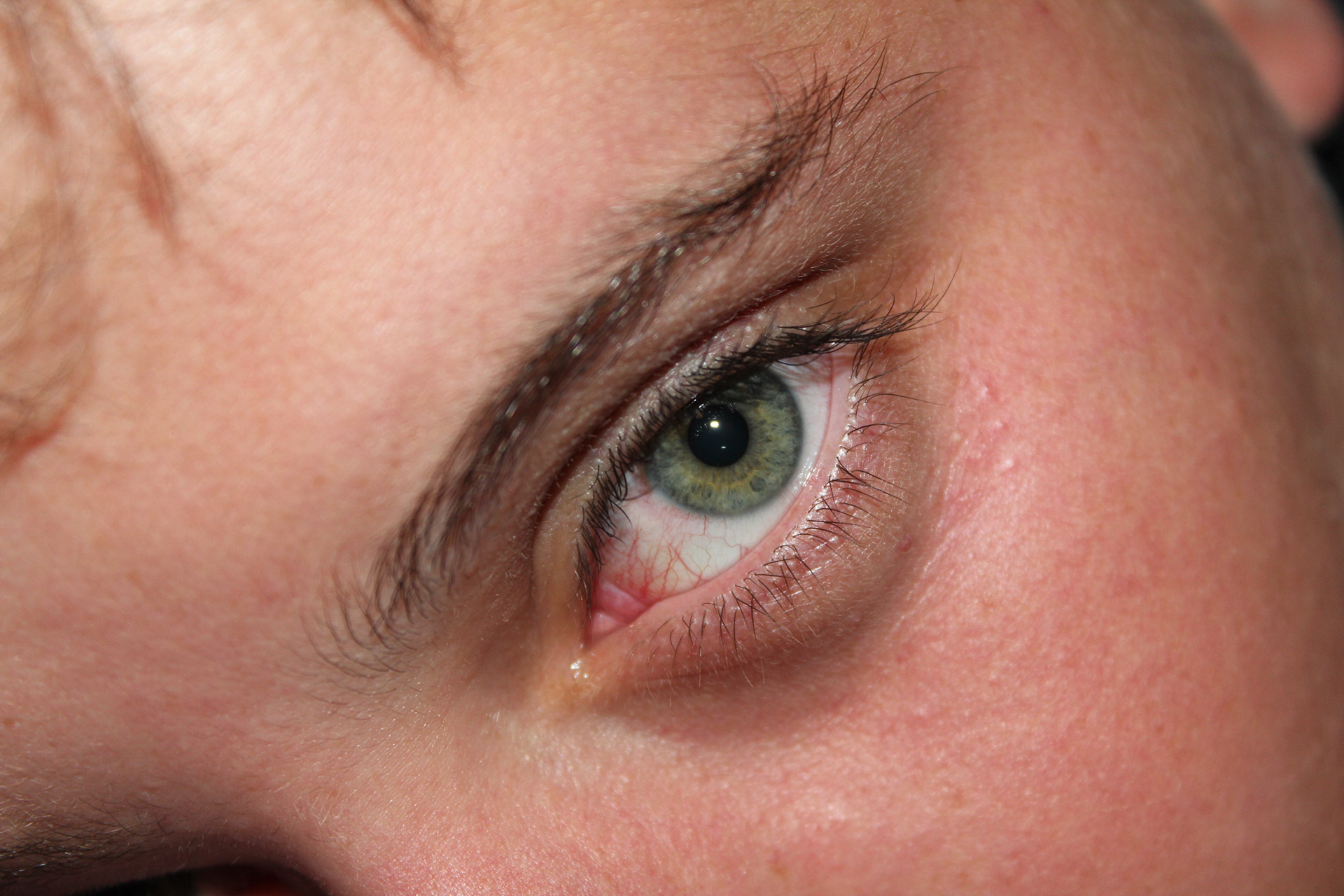 Mogi Mirim. TerezaPRT