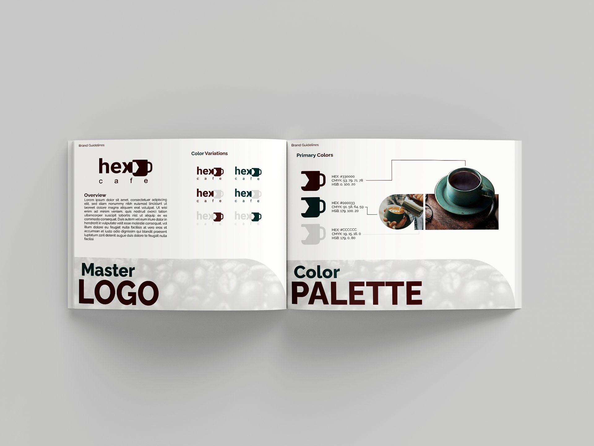 brand color palette, professional brand design and budget logo design in california, USA, Europe, Australia, Netherlands