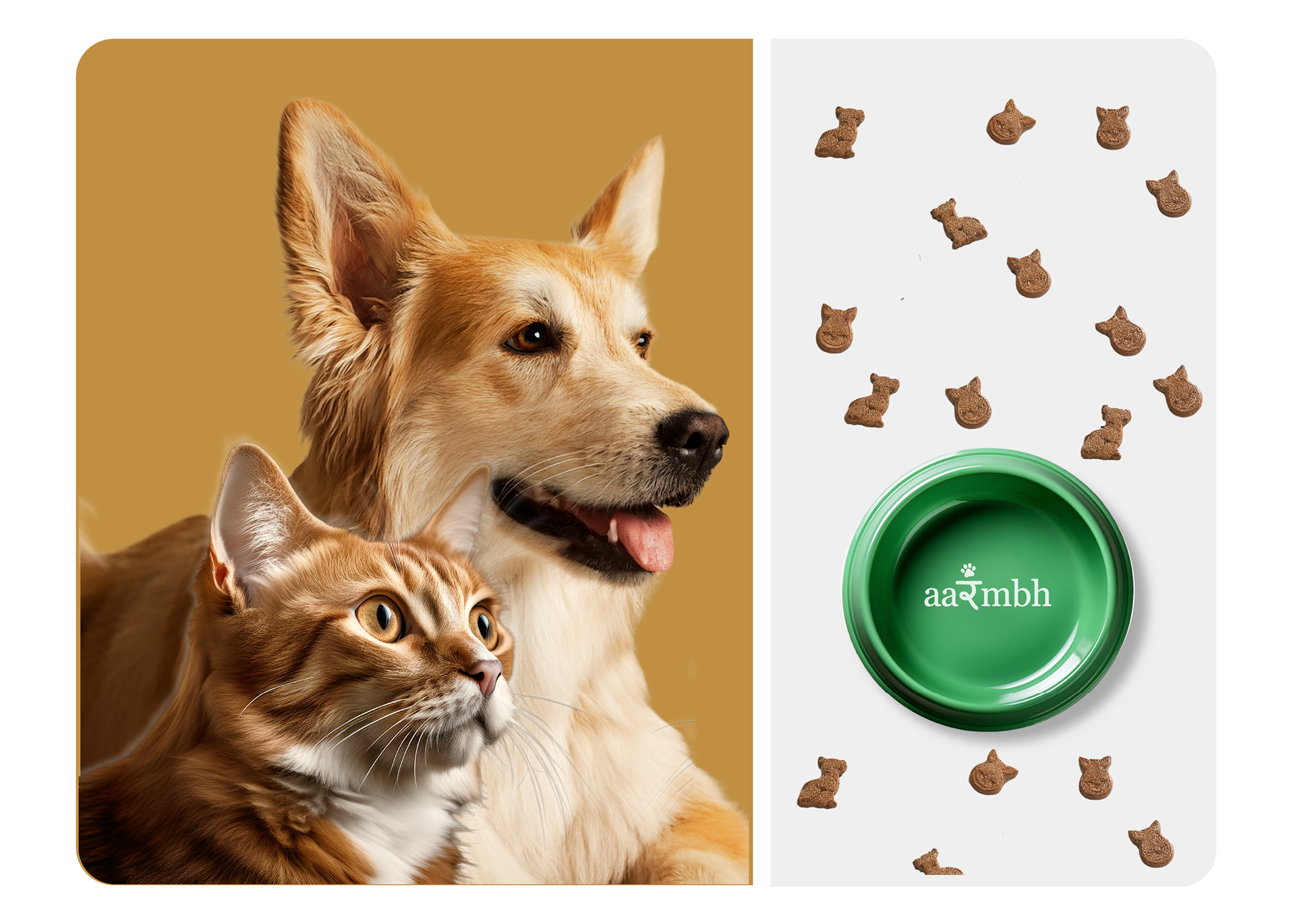 Aarambh mockup, pet food bowl, dog, cat brand strategy package include 2025, brand design process for agencies and personal brands, scalable social media templates for teams, maintain brand consistency across Instagram LinkedIn YouTube, cohesive brand storytelling through social content, brand design experts in New York, London, San Francisco, Toronto, Sydney, Berlin, Bangalore, Singapore