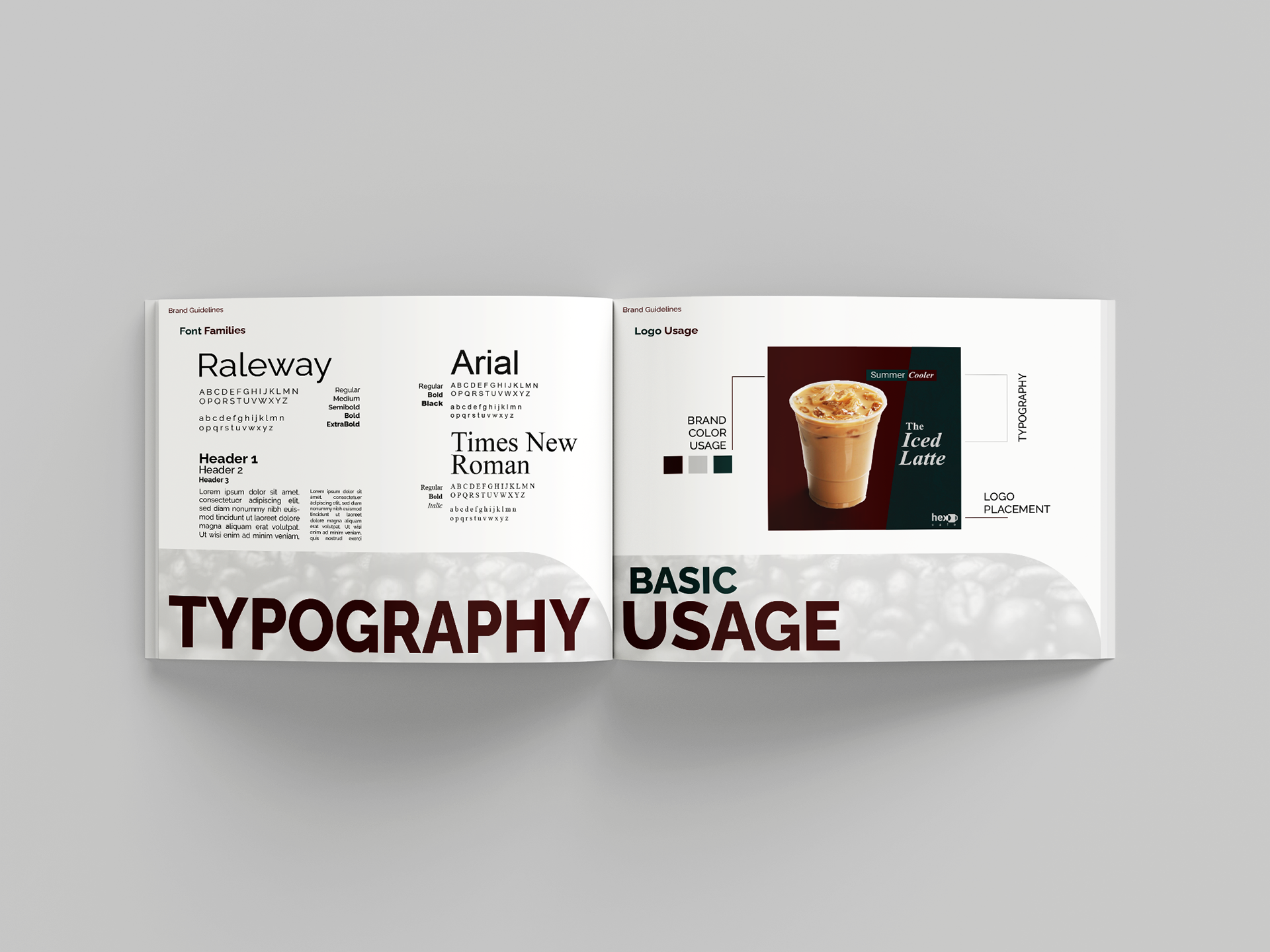 brand styleguide, professional brand design and budget logo design in california, USA, Europe, Australia, Netherlands