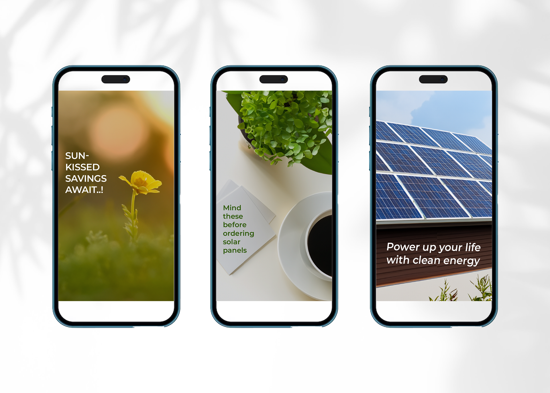 Zeus social media design, best brand design agencies for funded startups, professional brand design cost for scaling business, rebrand business without losing customer trust, high-quality social media design for brand, custom social media graphics agencies, top design firms in New York, London, San Francisco, Toronto, Sydney, Berlin, Bangalore, Singapore