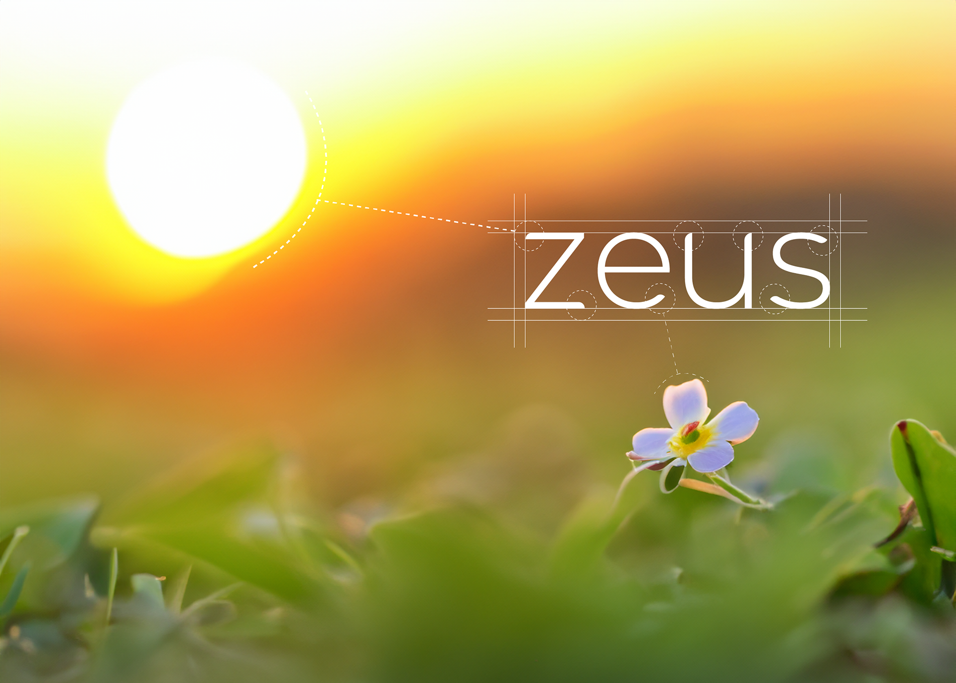 Zeus logo logic, brand strategy package include 2025, brand design process for agencies and personal brands, scalable social media templates for teams, maintain brand consistency across Instagram LinkedIn YouTube, cohesive brand storytelling through social content, brand design experts in New York, London, San Francisco, Toronto, Sydney, Berlin, Bangalore, Singapore