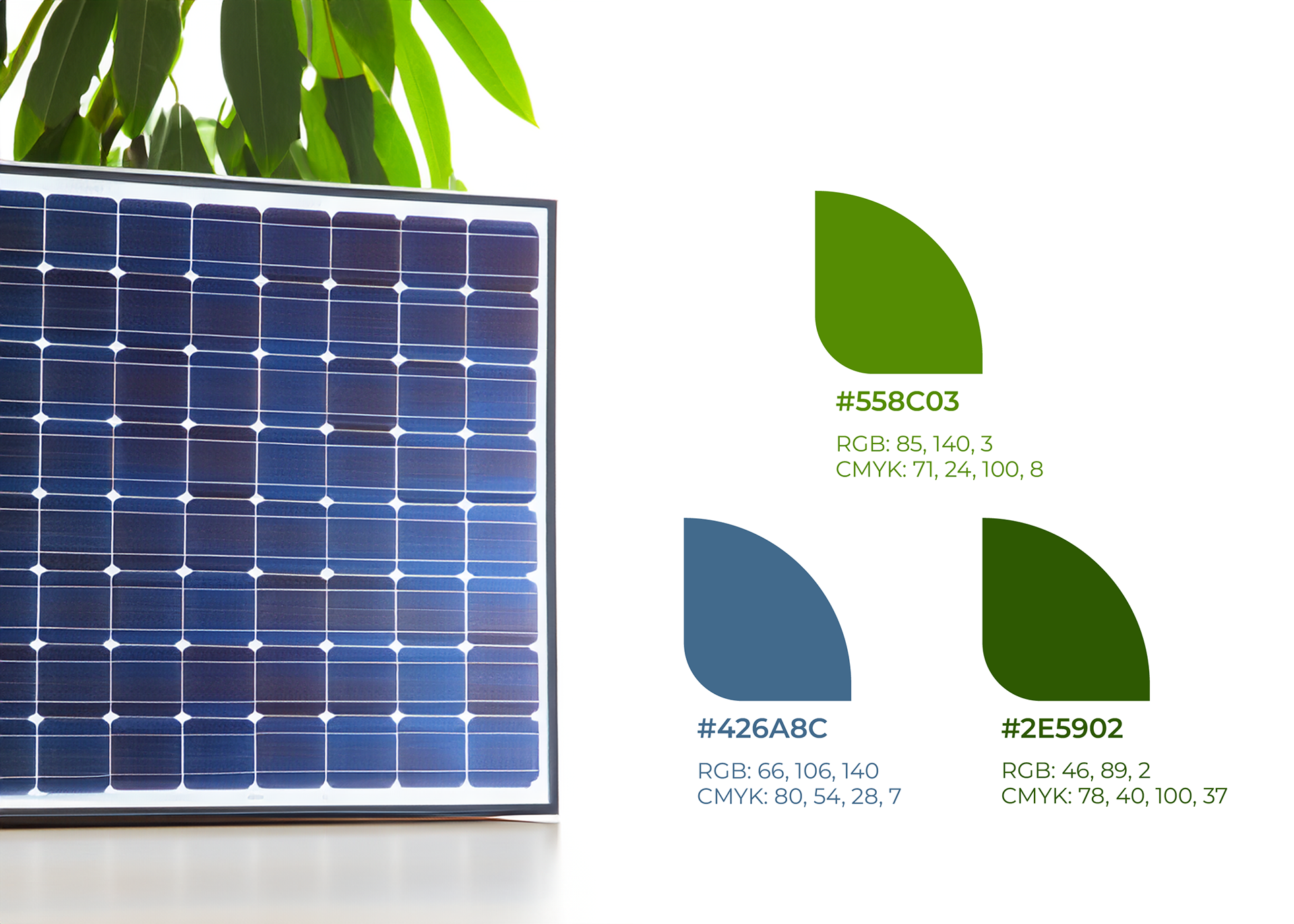 zeus color palette, brand designer who understands startup growth, align internal brand vision with external perception, brand perception vs business growth, consistent visual identity design, branded and professional social media design, brand design agency in New York, London, San Francisco, Toronto, Sydney, Berlin, Bangalore, Singapore