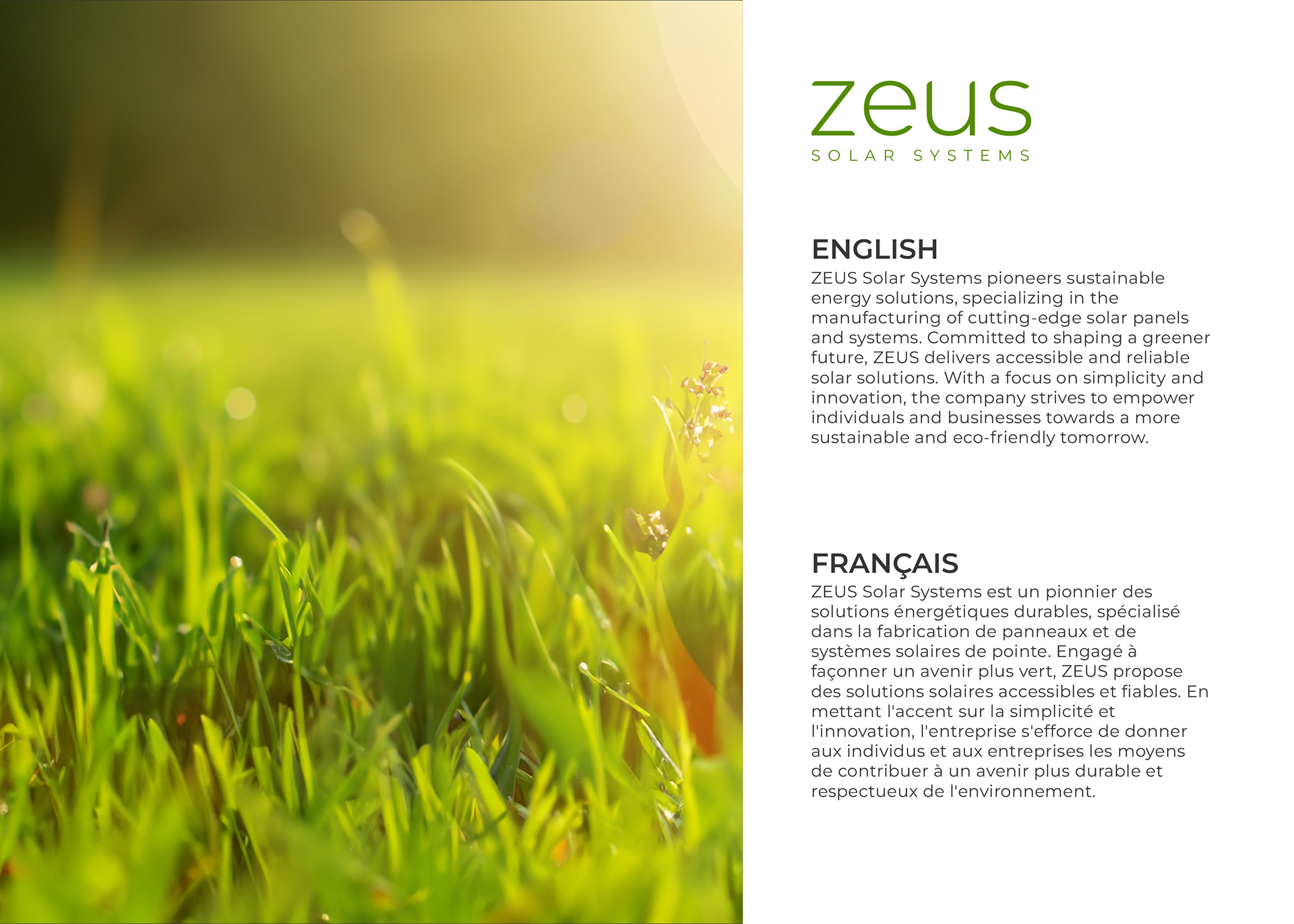 Zeus solar systems, english and french brand strategy package include 2025, brand design process for agencies and personal brands, scalable social media templates for teams, maintain brand consistency across Instagram LinkedIn YouTube, cohesive brand storytelling through social content, brand design experts in New York, London, San Francisco, Toronto, Sydney, Berlin, Bangalore, Singapore