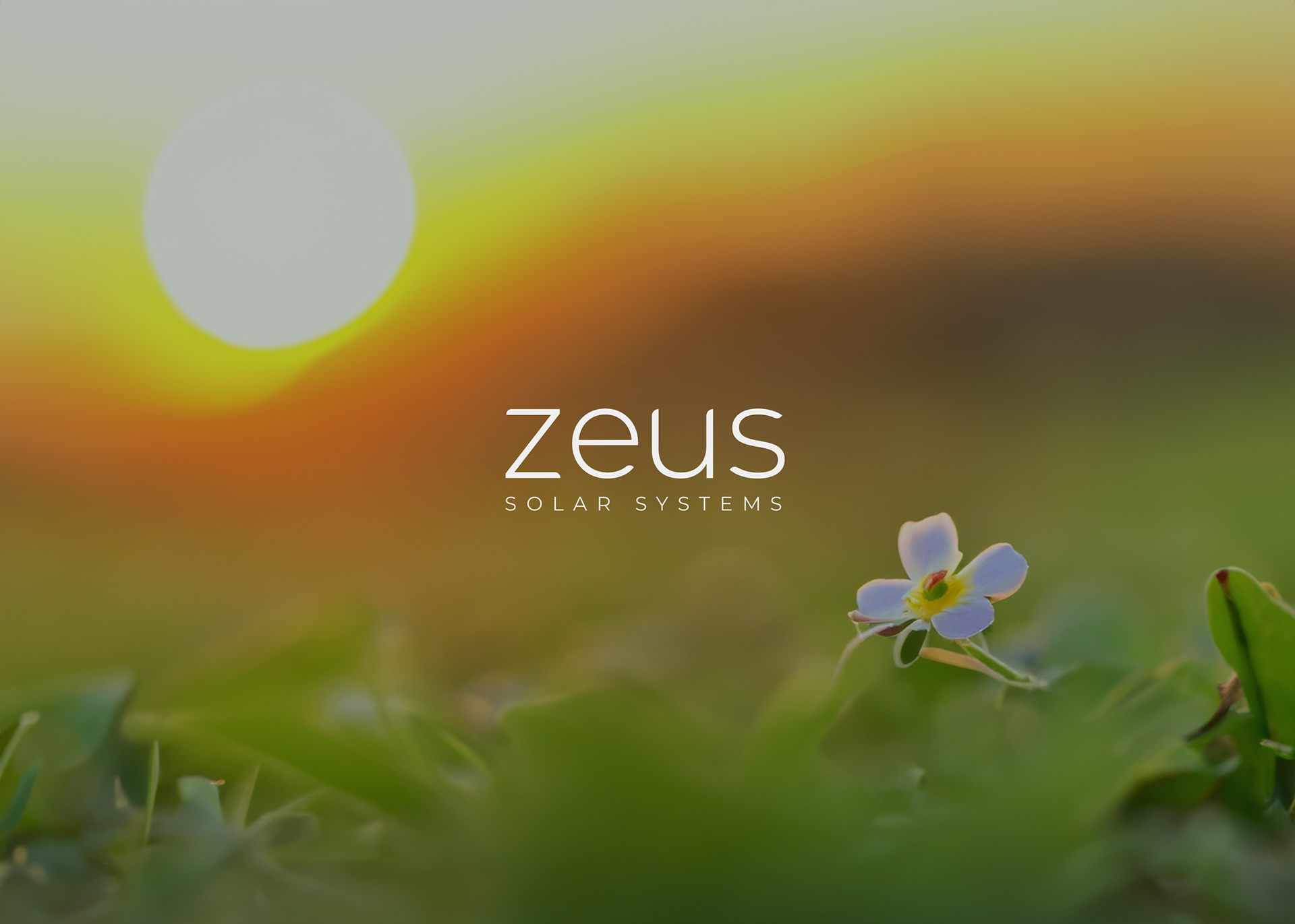 Zeus Solar Systems, brand strategy package include 2025, brand design process for agencies and personal brands, scalable social media templates for teams, maintain brand consistency across Instagram LinkedIn YouTube, cohesive brand storytelling through social content, brand design experts in New York, London, San Francisco, Toronto, Sydney, Berlin, Bangalore, Singapore