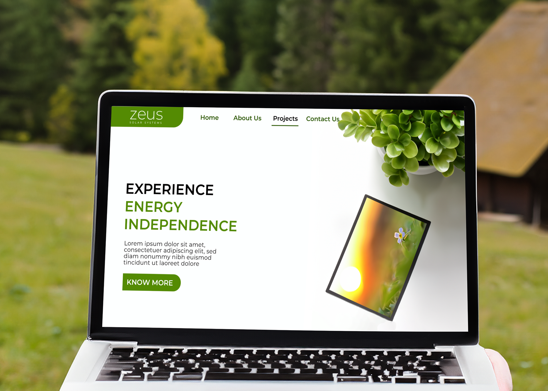 Zeus website, best brand design agencies for funded startups, professional brand design cost for scaling business, rebrand business without losing customer trust, high-quality social media design for brand, custom social media graphics agencies, top design firms in New York, London, San Francisco, Toronto, Sydney, Berlin, Bangalore, Singapore